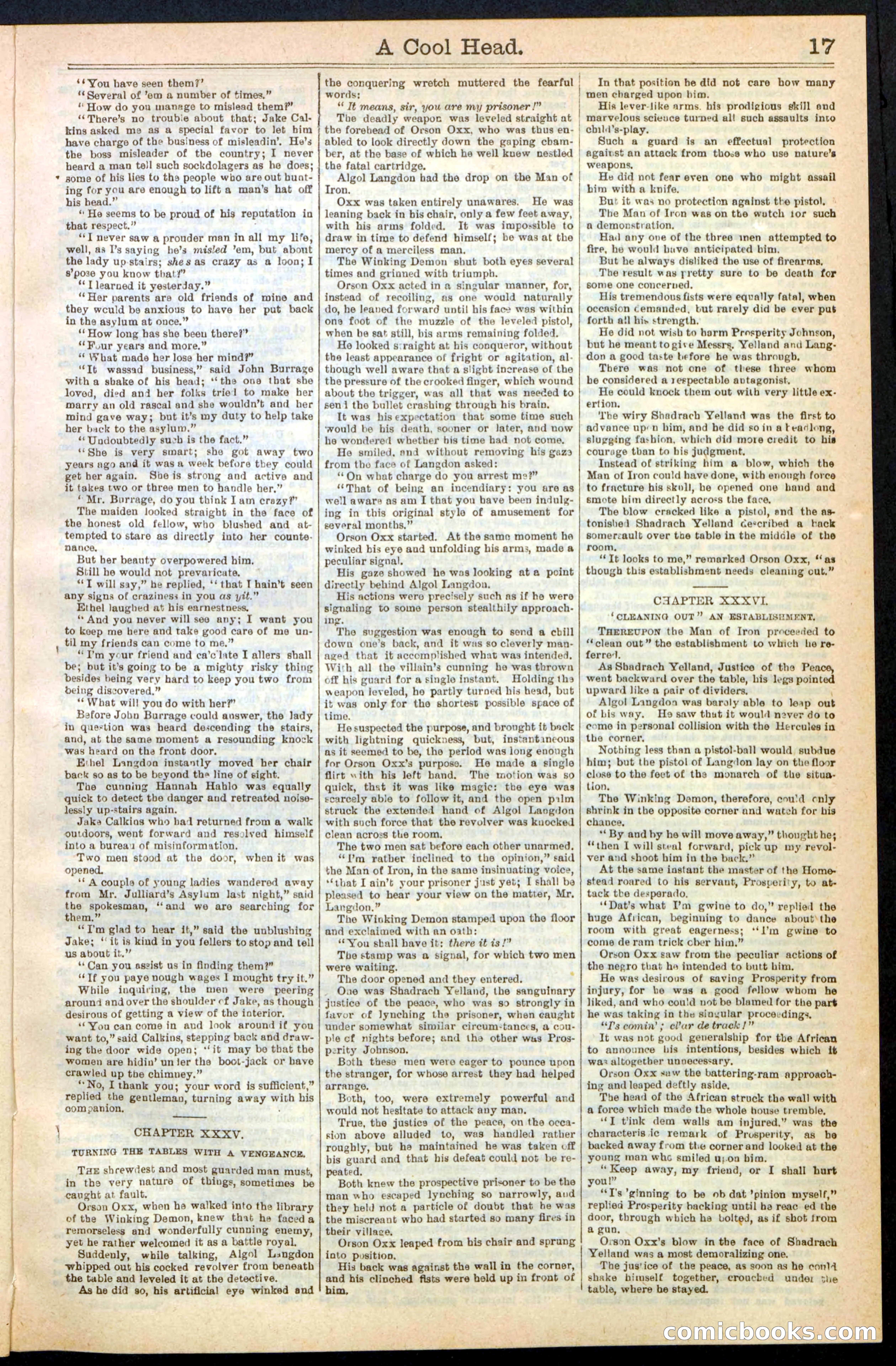Beadle's Dime Library, No. 240 — page 17 of 32