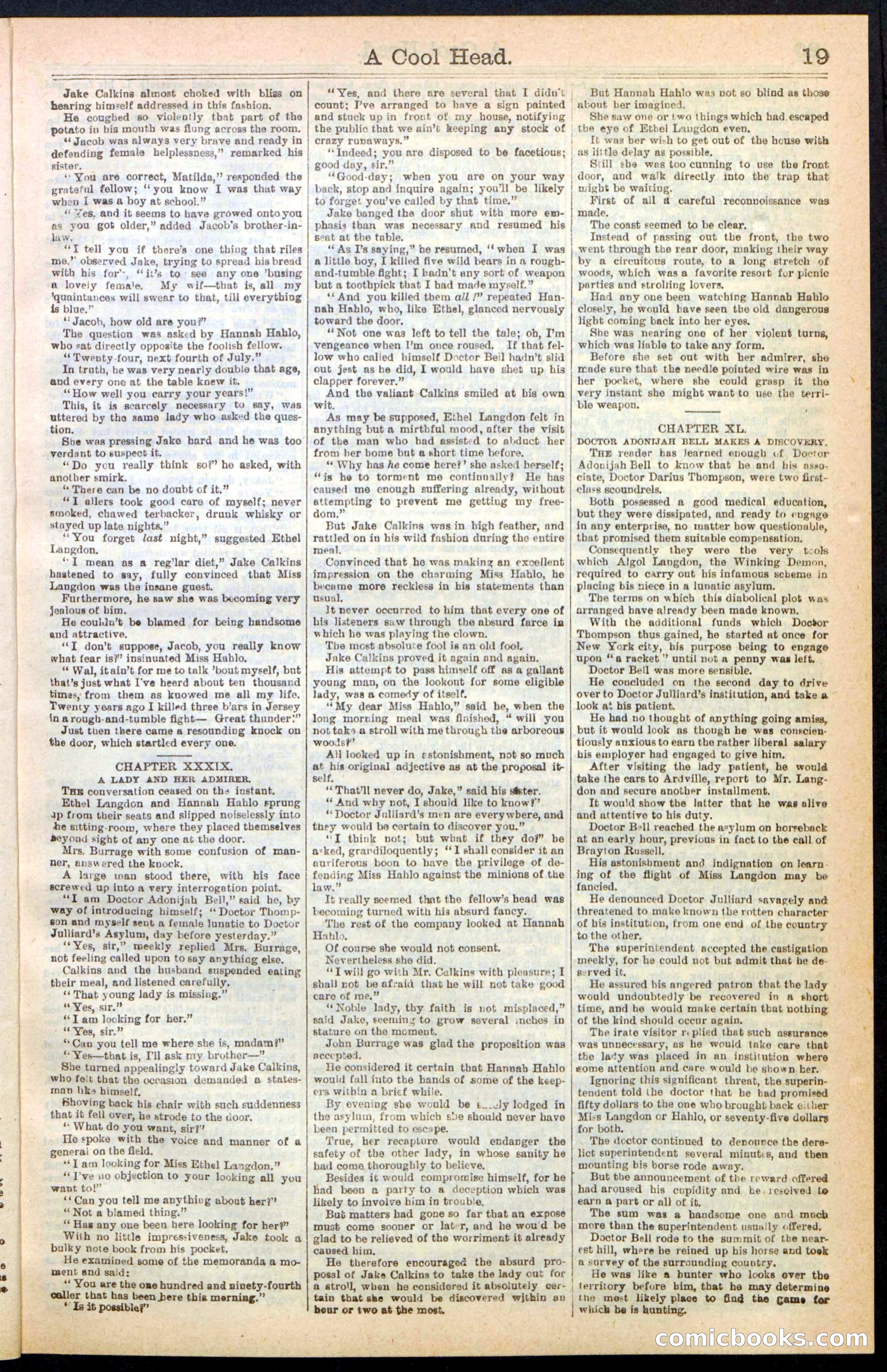Beadle's Dime Library, No. 240 — page 19 of 32