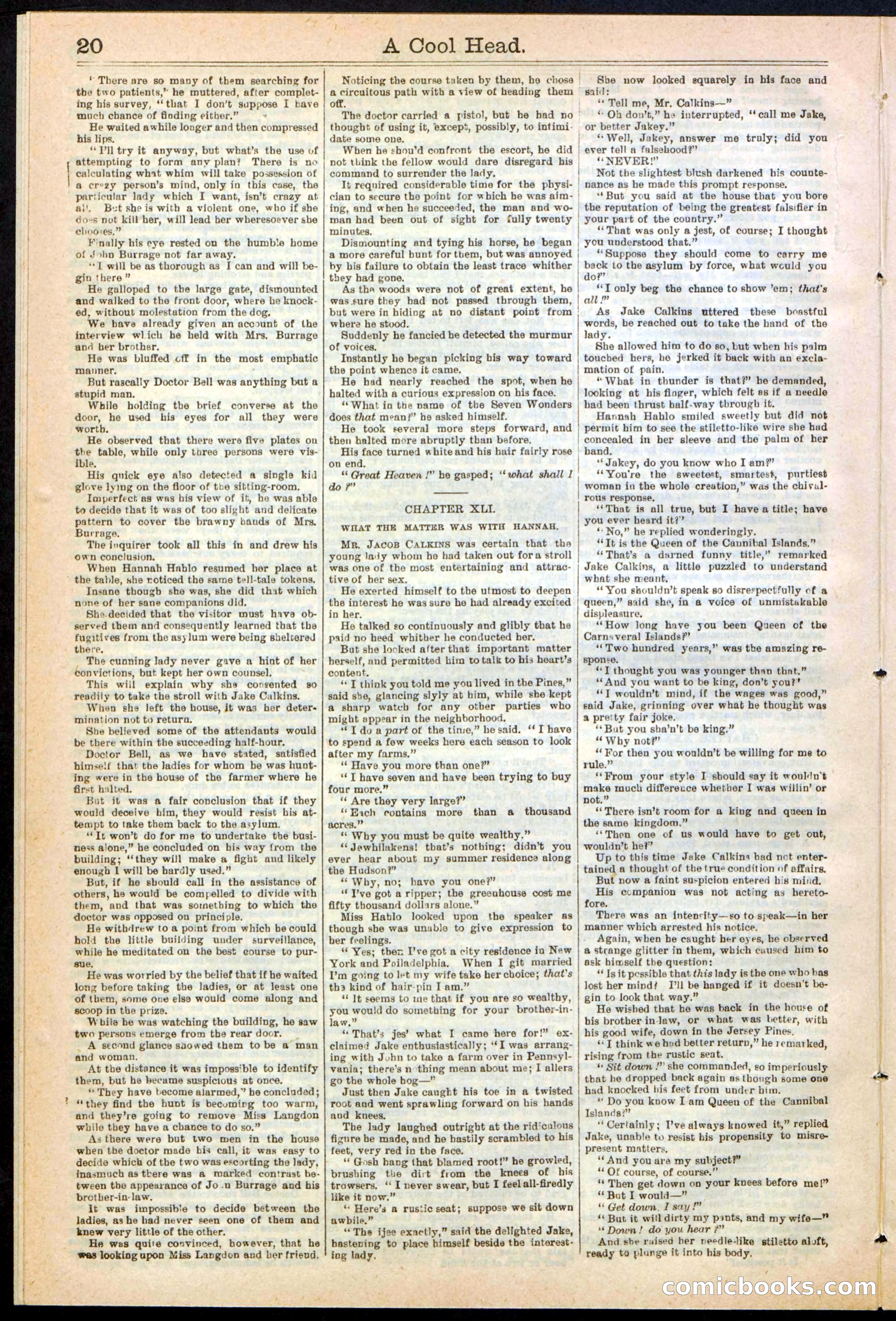 Beadle's Dime Library, No. 240 — page 20 of 32