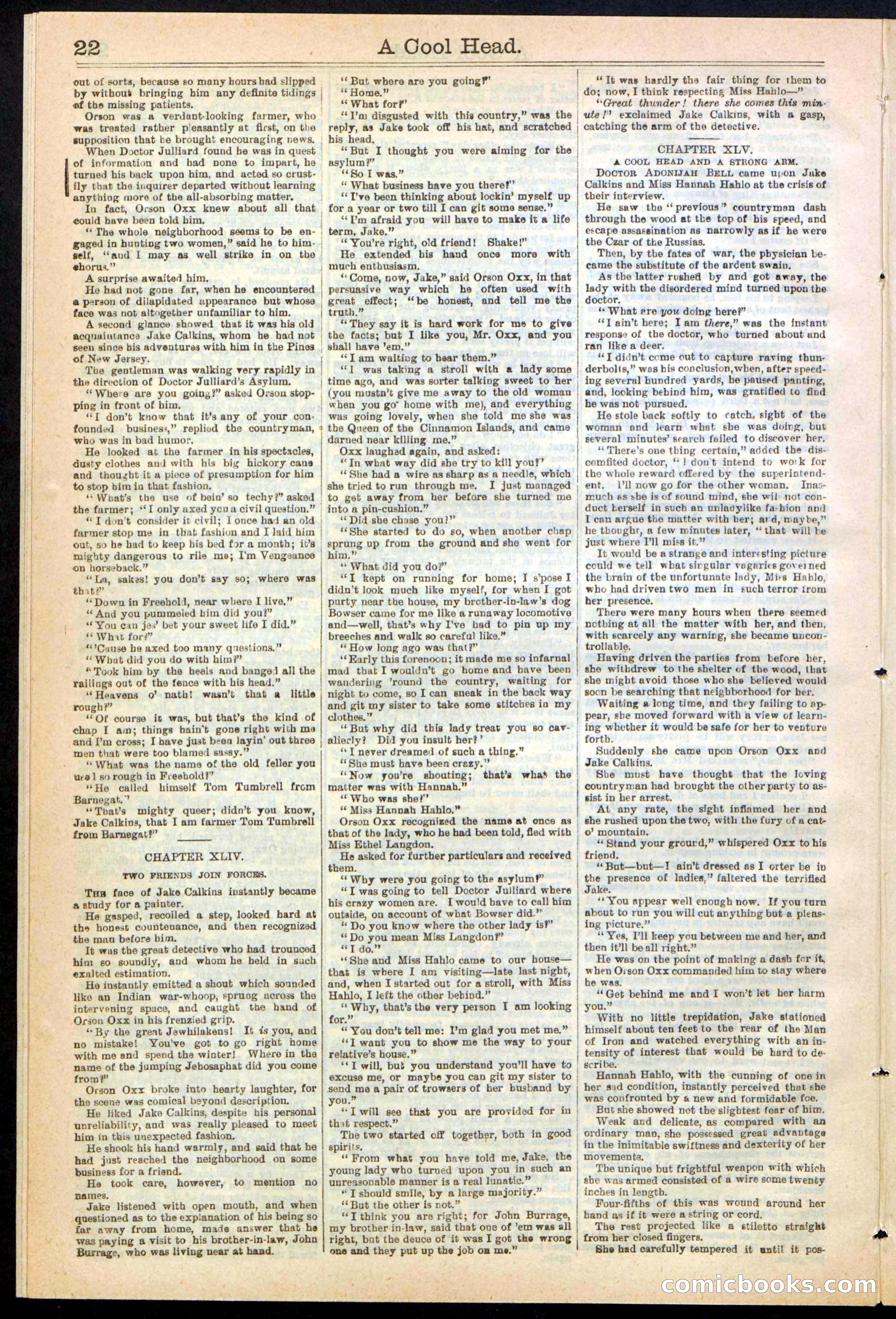 Beadle's Dime Library, No. 240 — page 22 of 32