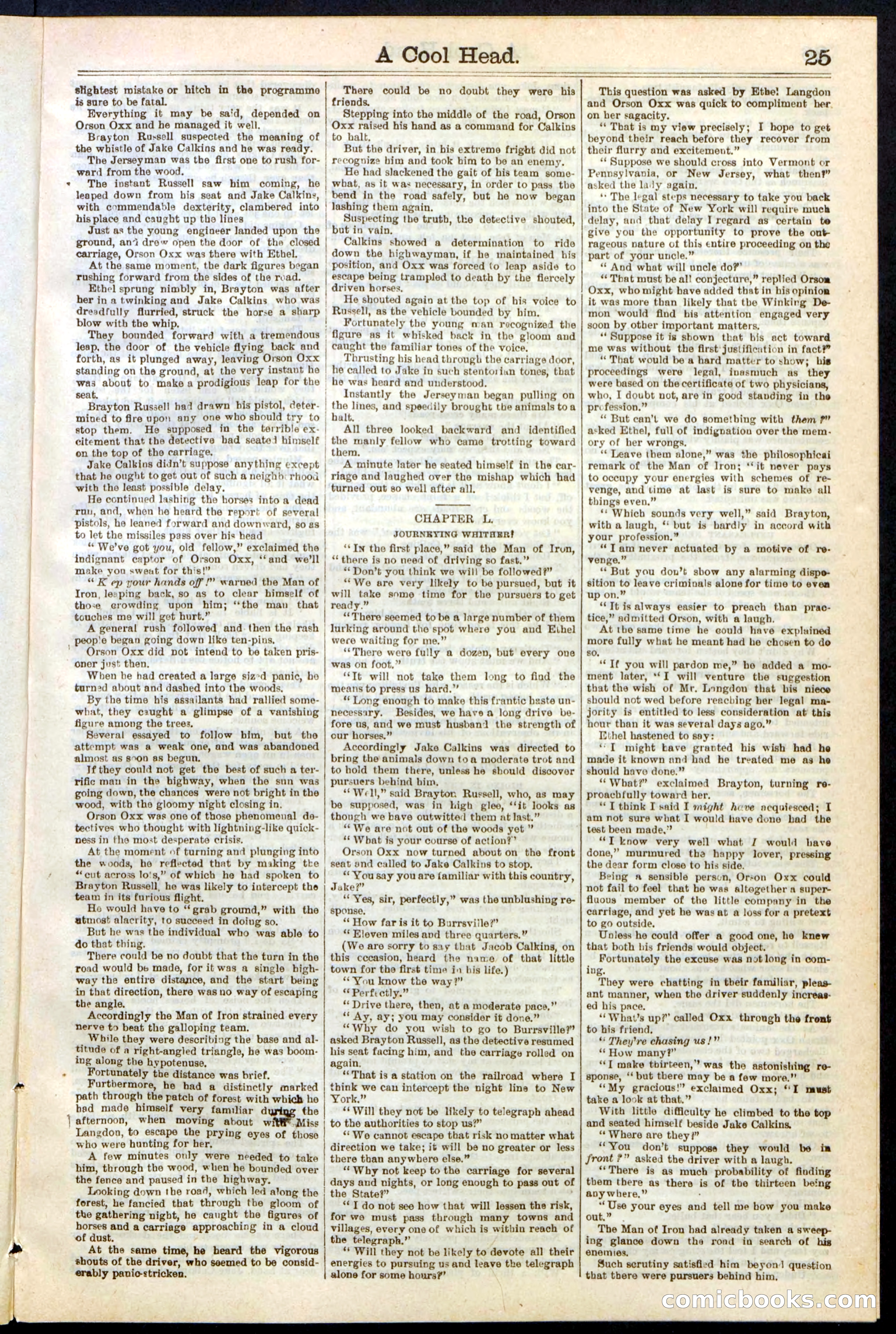Beadle's Dime Library, No. 240 — page 25 of 32