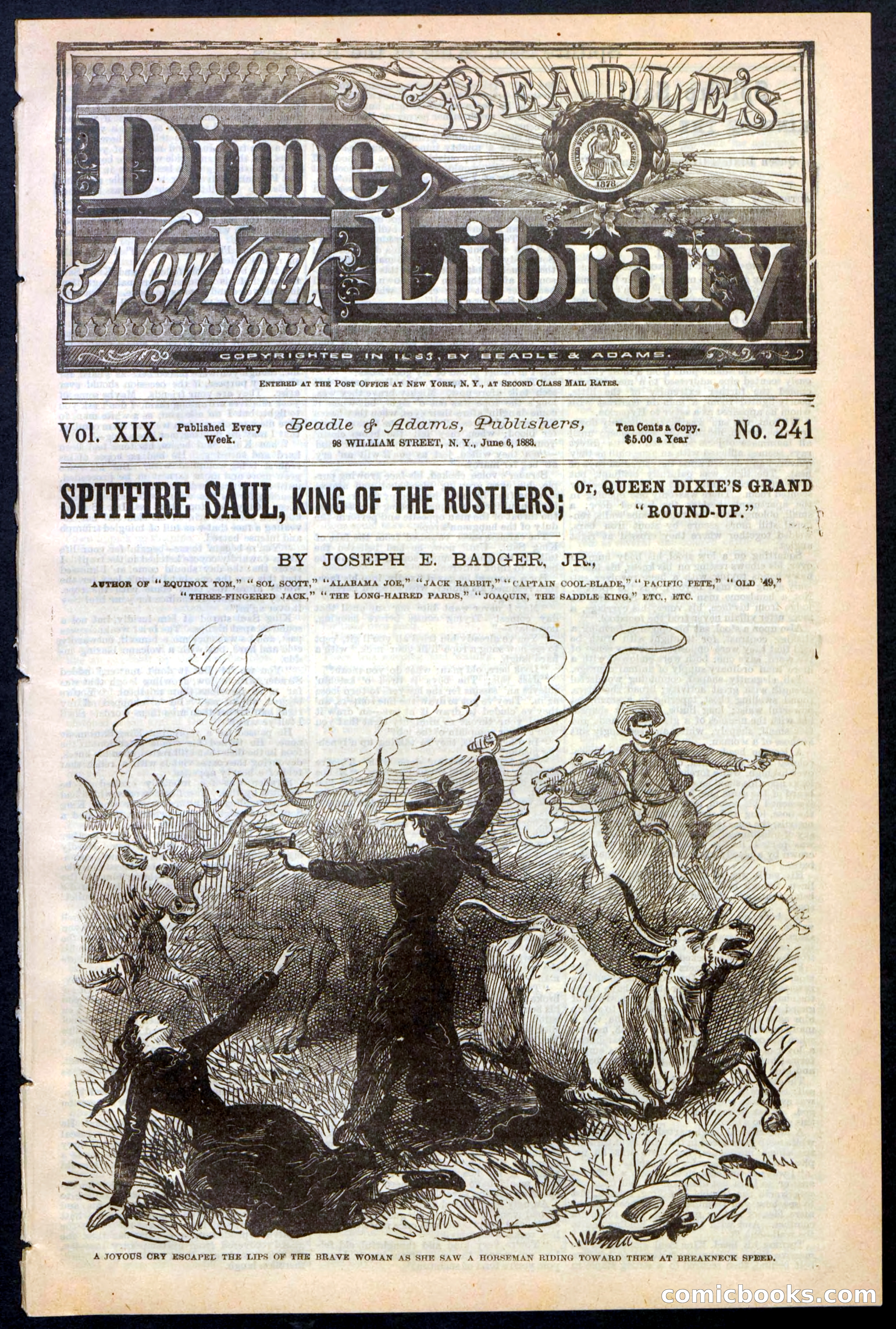 Beadle's New York Dime Library No. 241