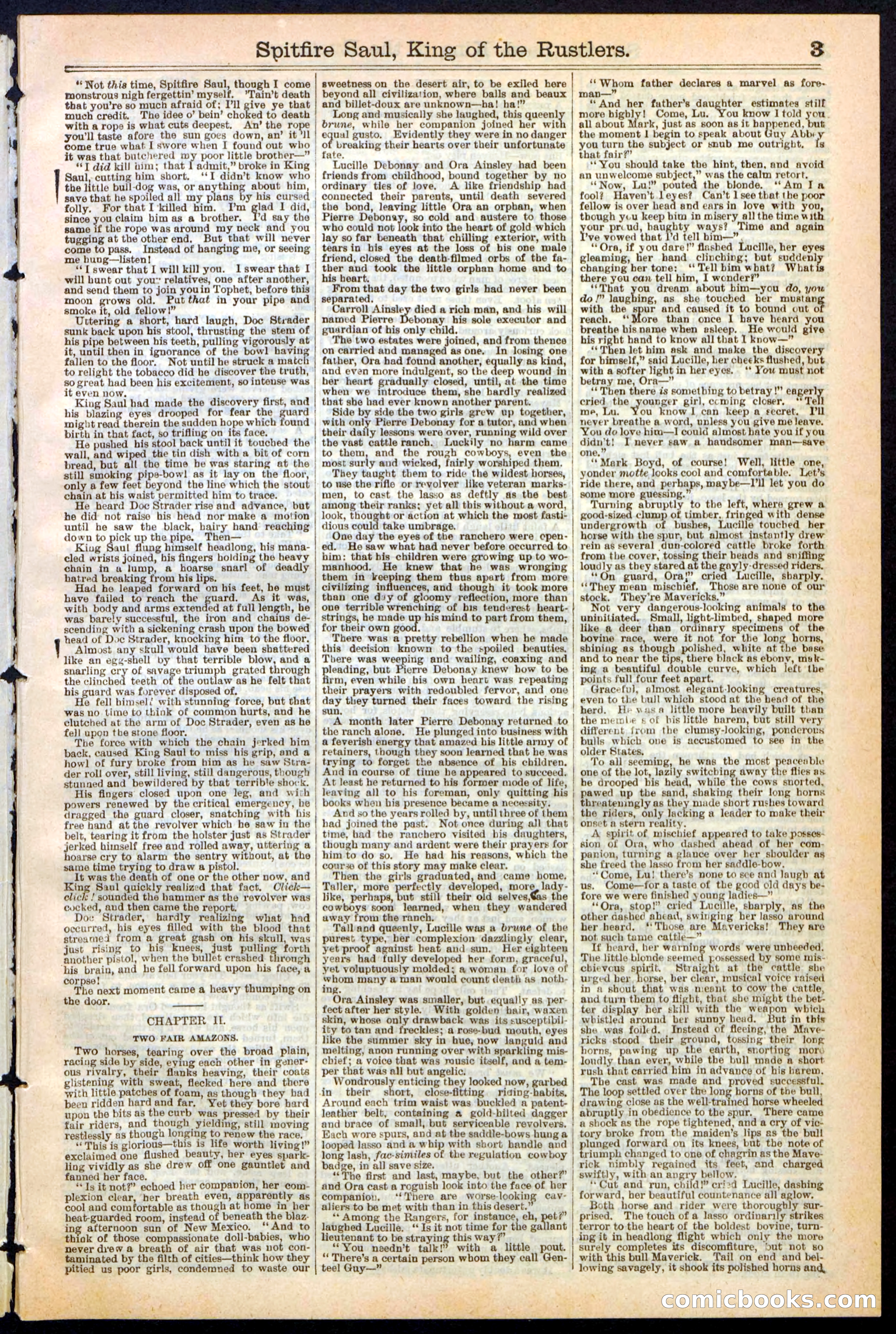 Beadle's New York Dime Library No. 241 — page 3 of 32