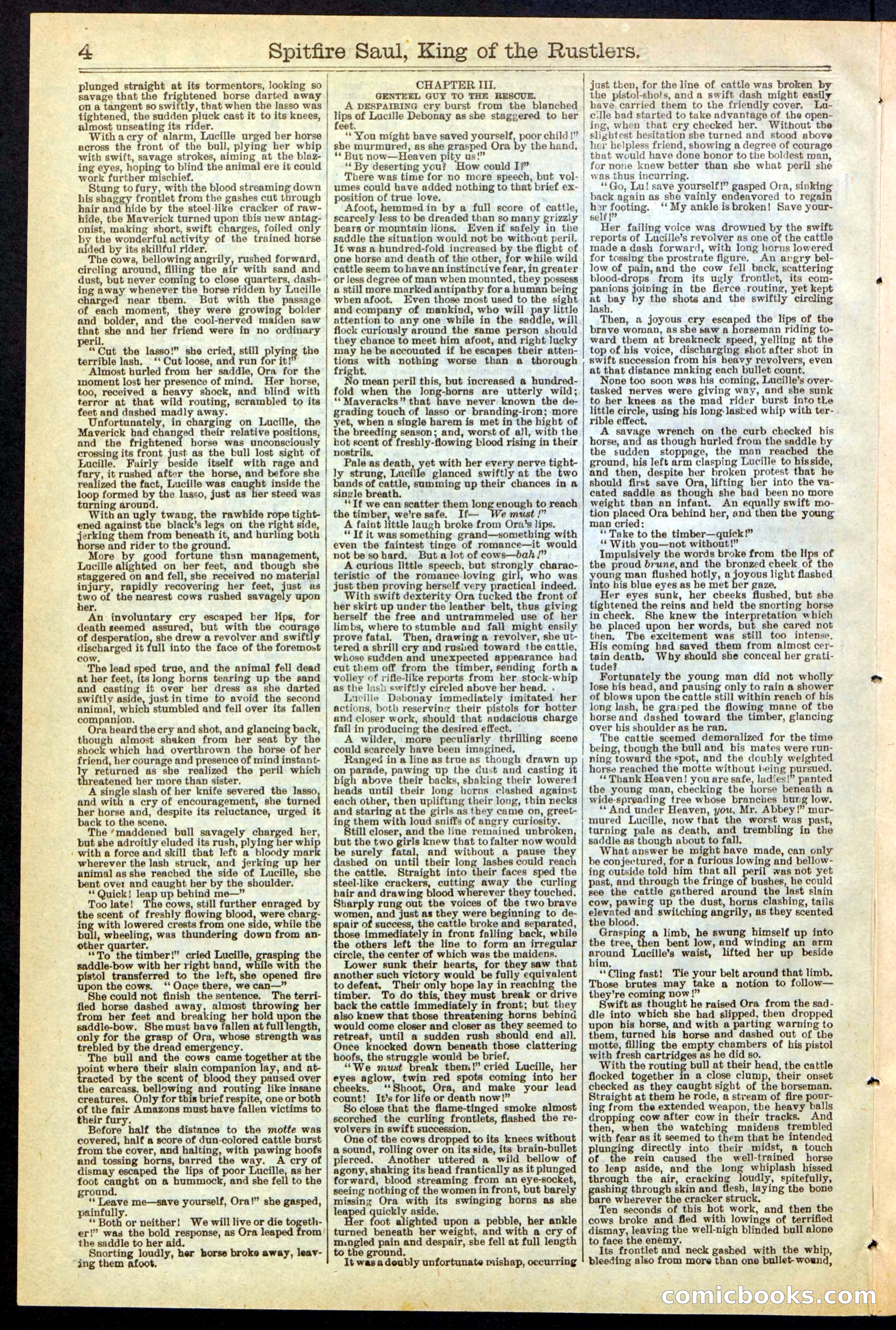 Beadle's New York Dime Library No. 241 — page 4 of 32