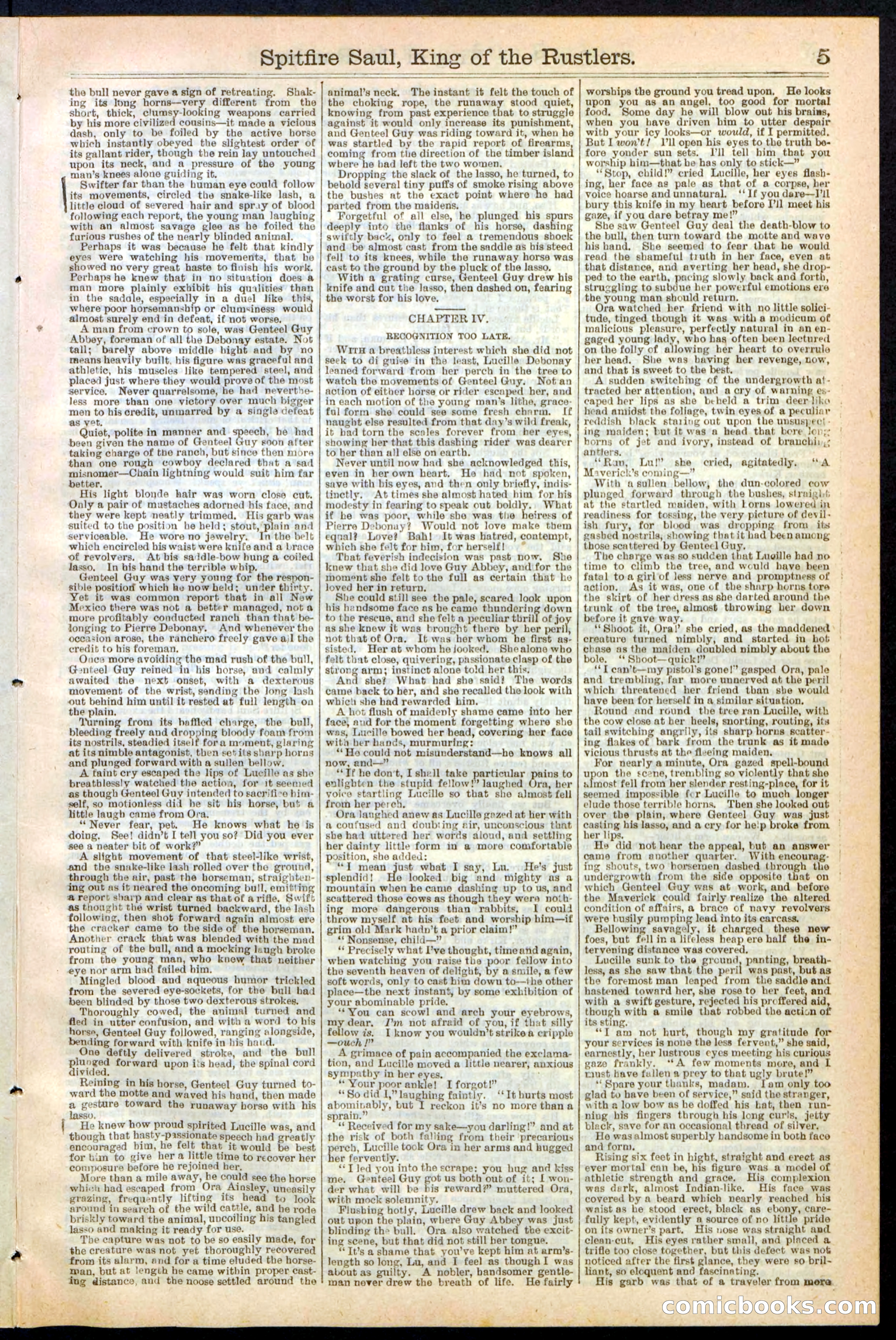 Beadle's New York Dime Library No. 241 — page 5 of 32