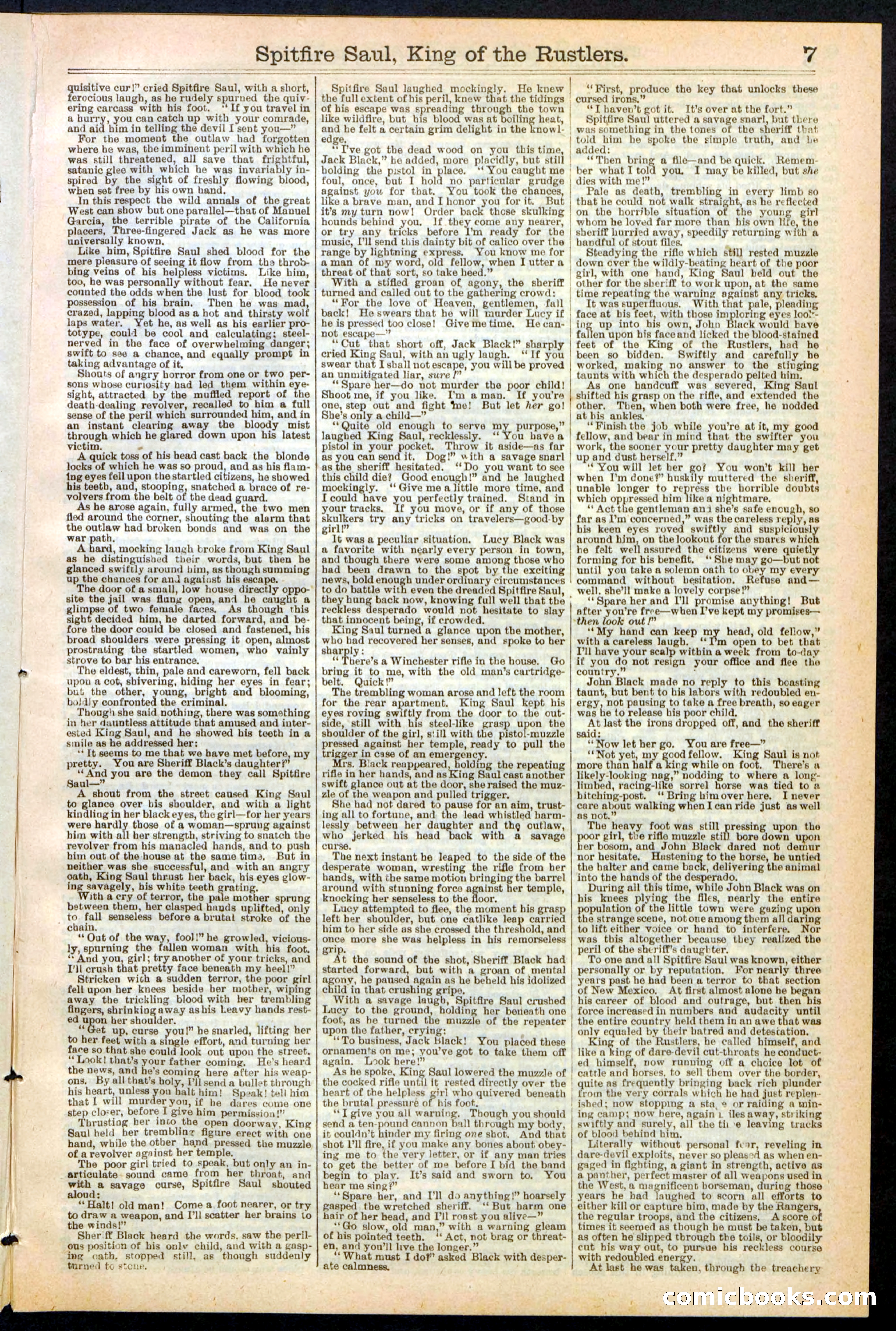 Beadle's New York Dime Library No. 241 — page 7 of 32