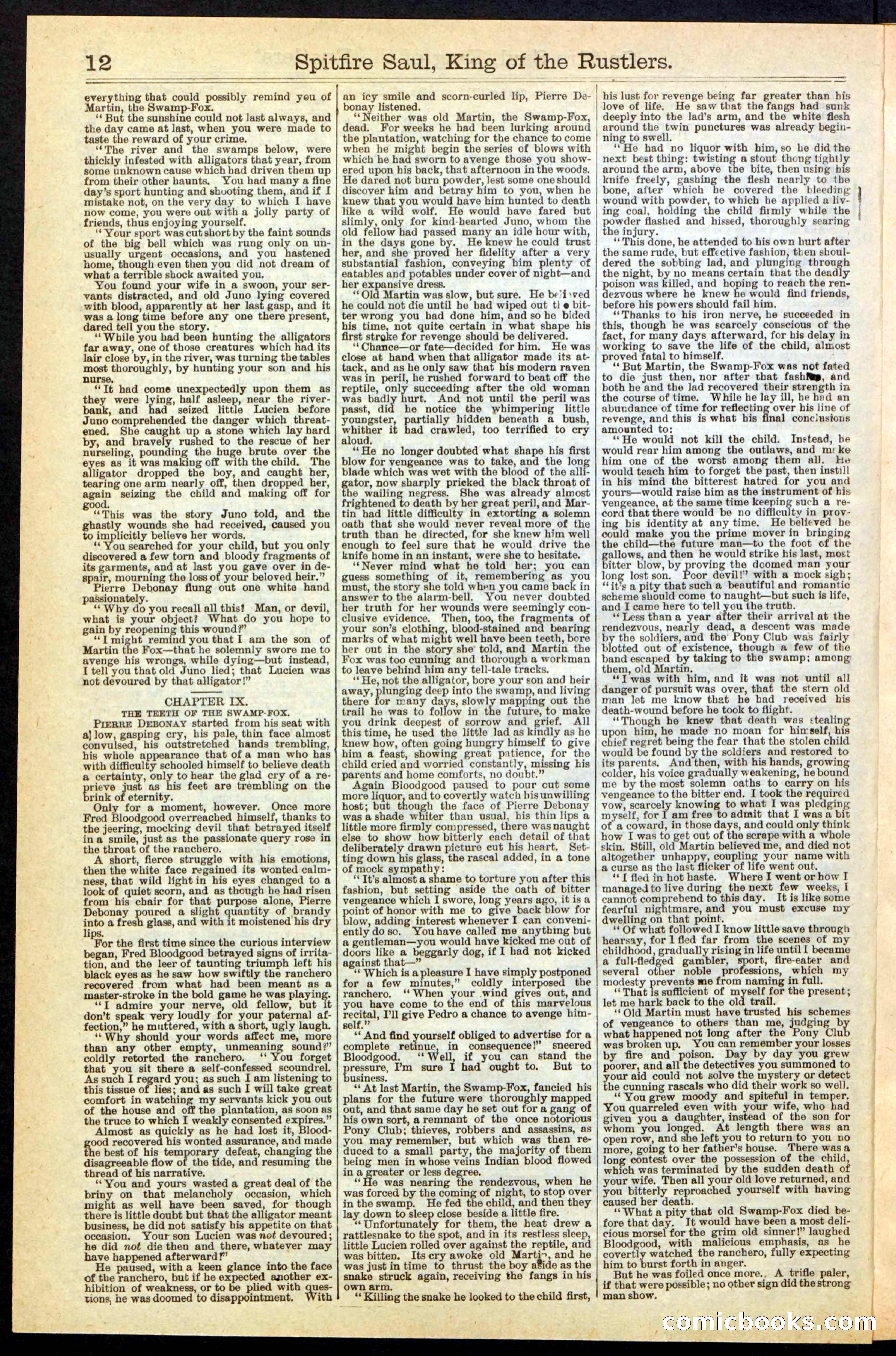 Beadle's New York Dime Library No. 241 — page 12 of 32