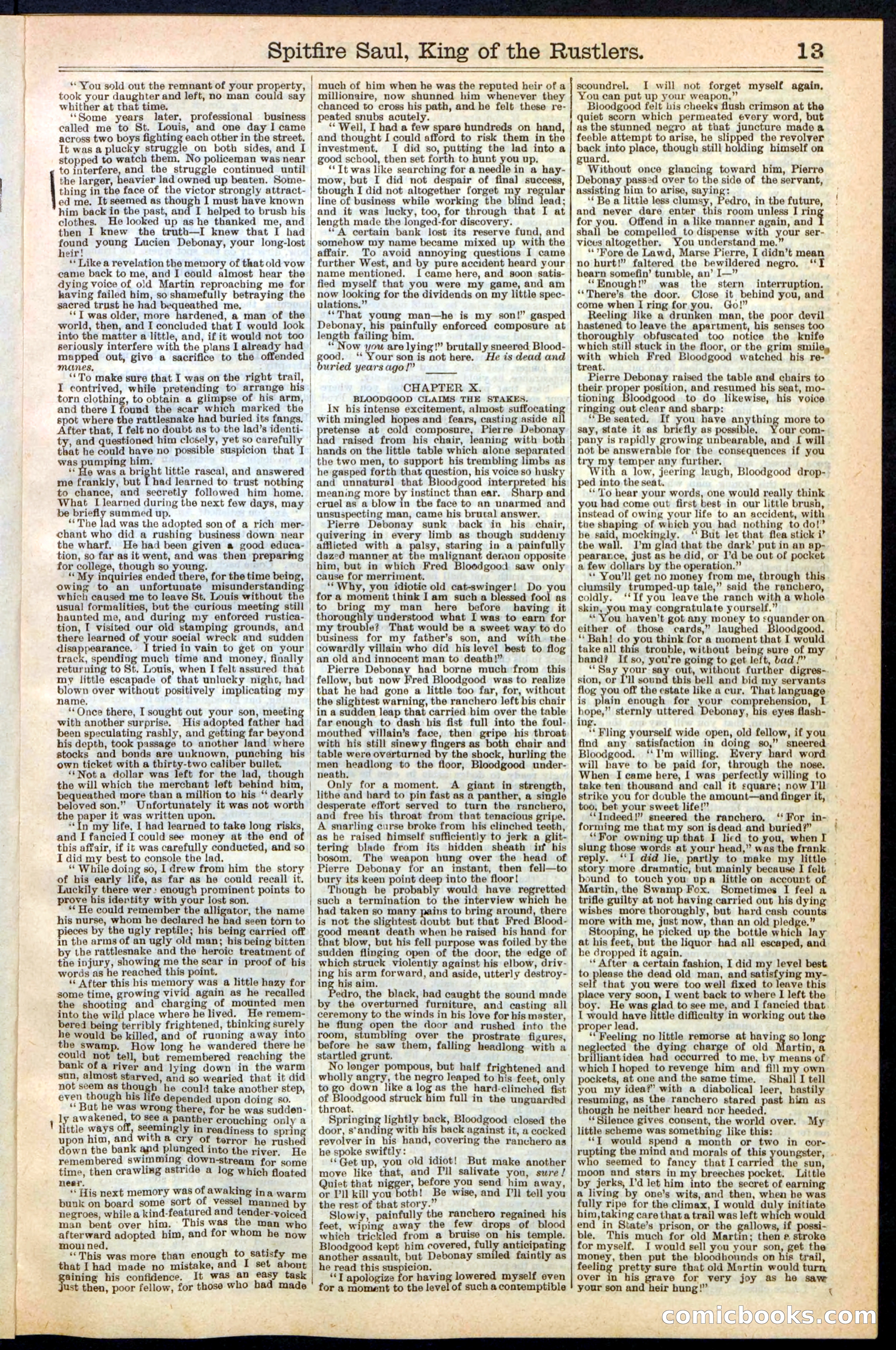 Beadle's New York Dime Library No. 241 — page 13 of 32