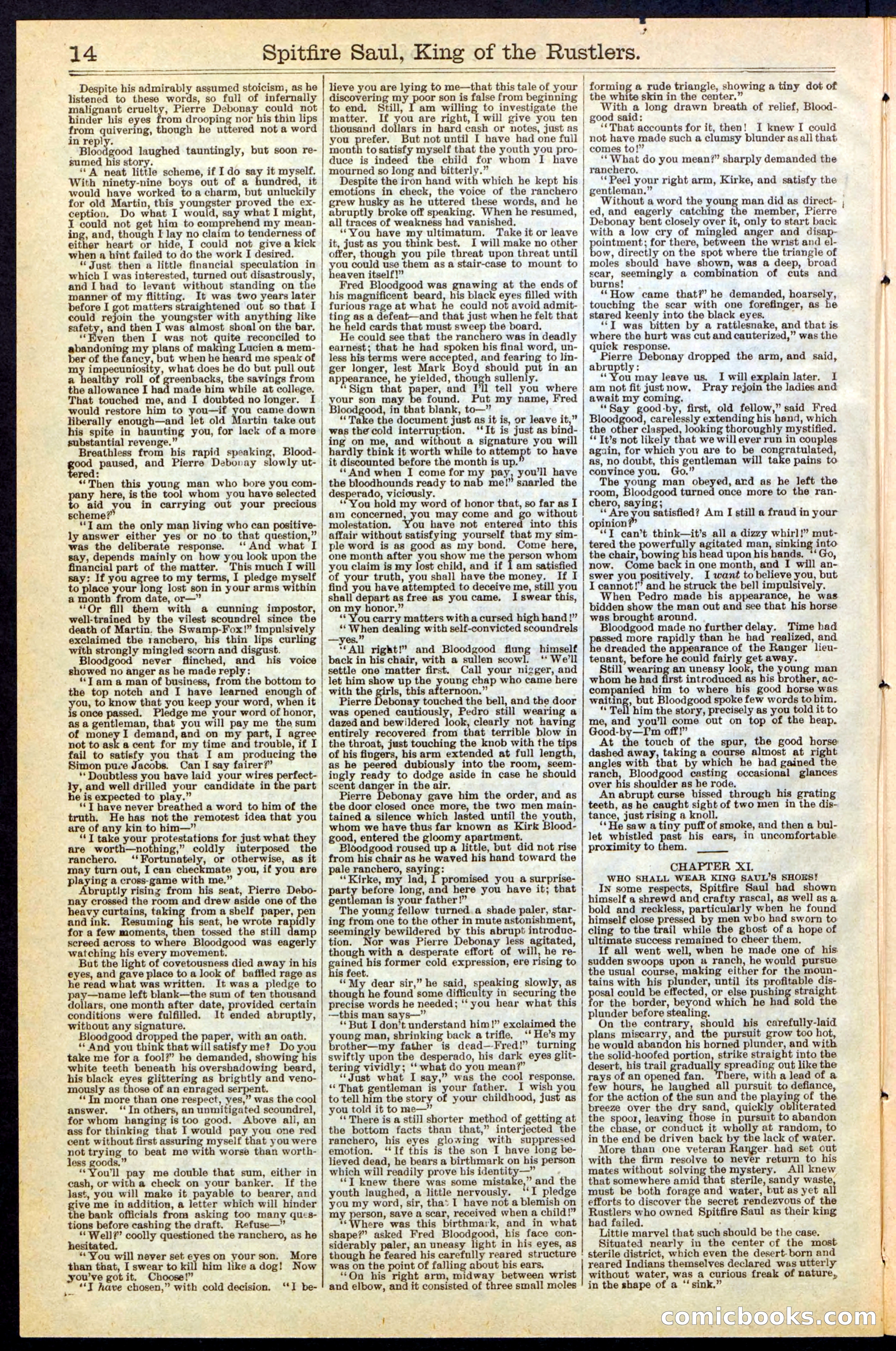 Beadle's New York Dime Library No. 241 — page 14 of 32