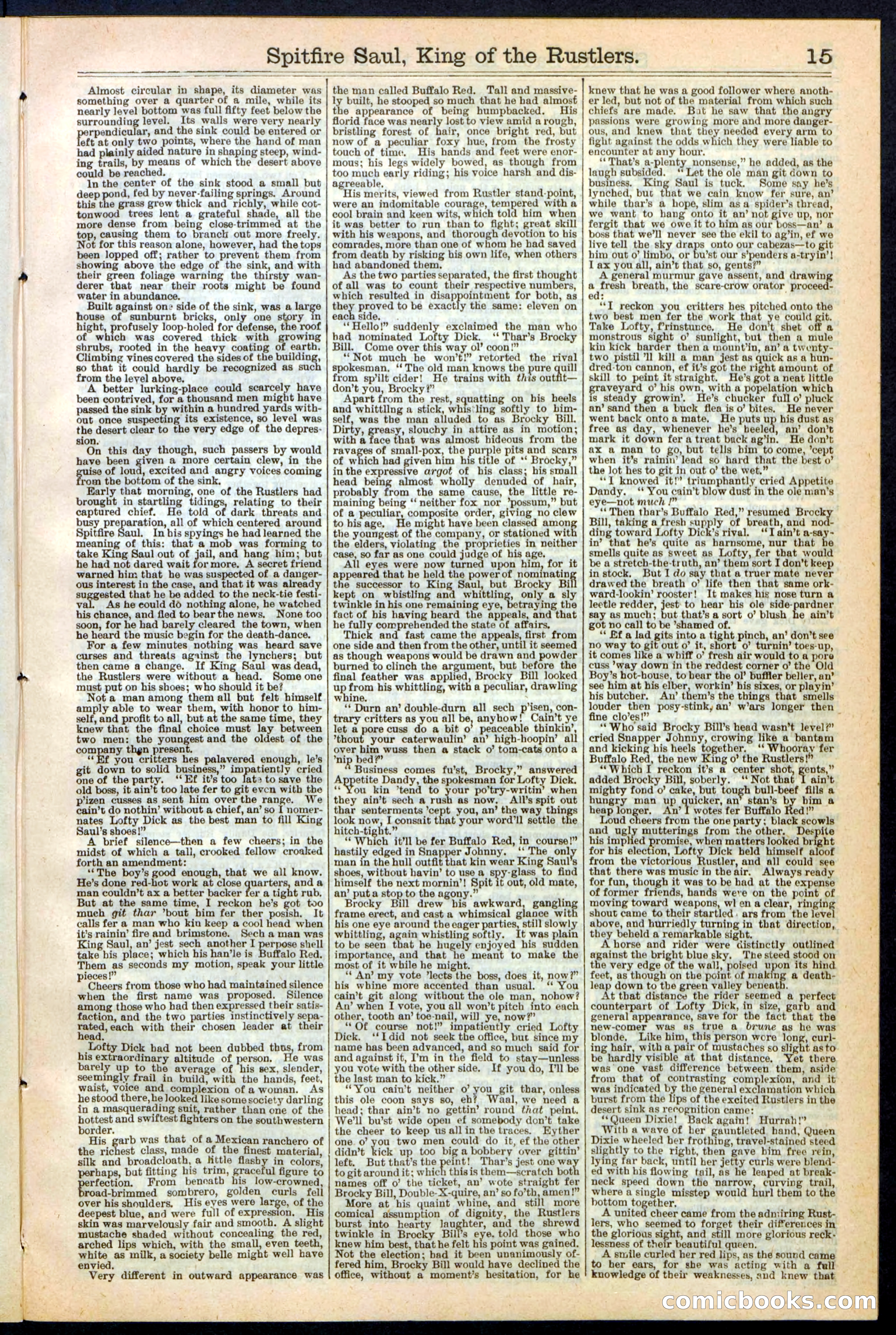 Beadle's New York Dime Library No. 241 — page 15 of 32