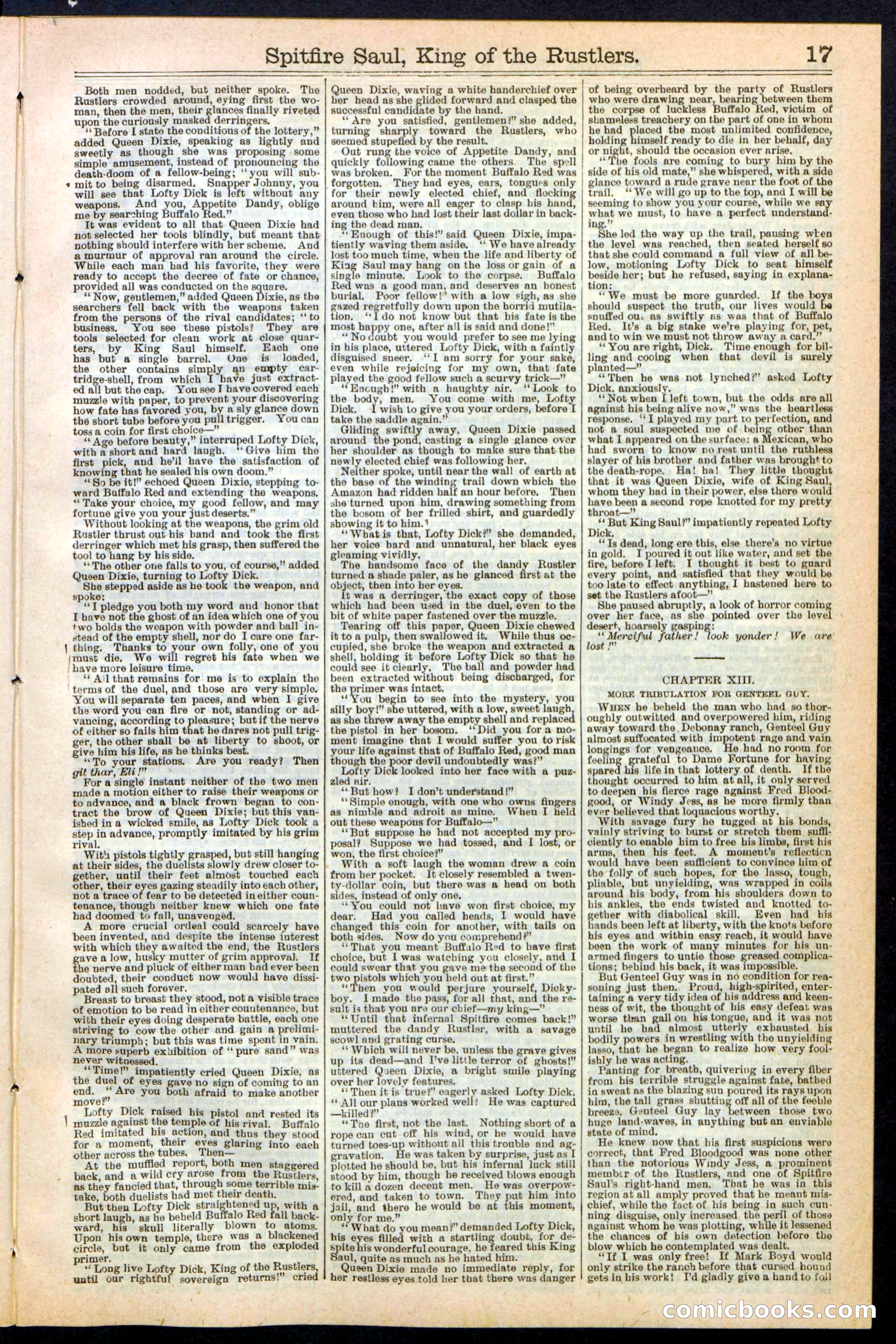 Beadle's New York Dime Library No. 241 — page 17 of 32