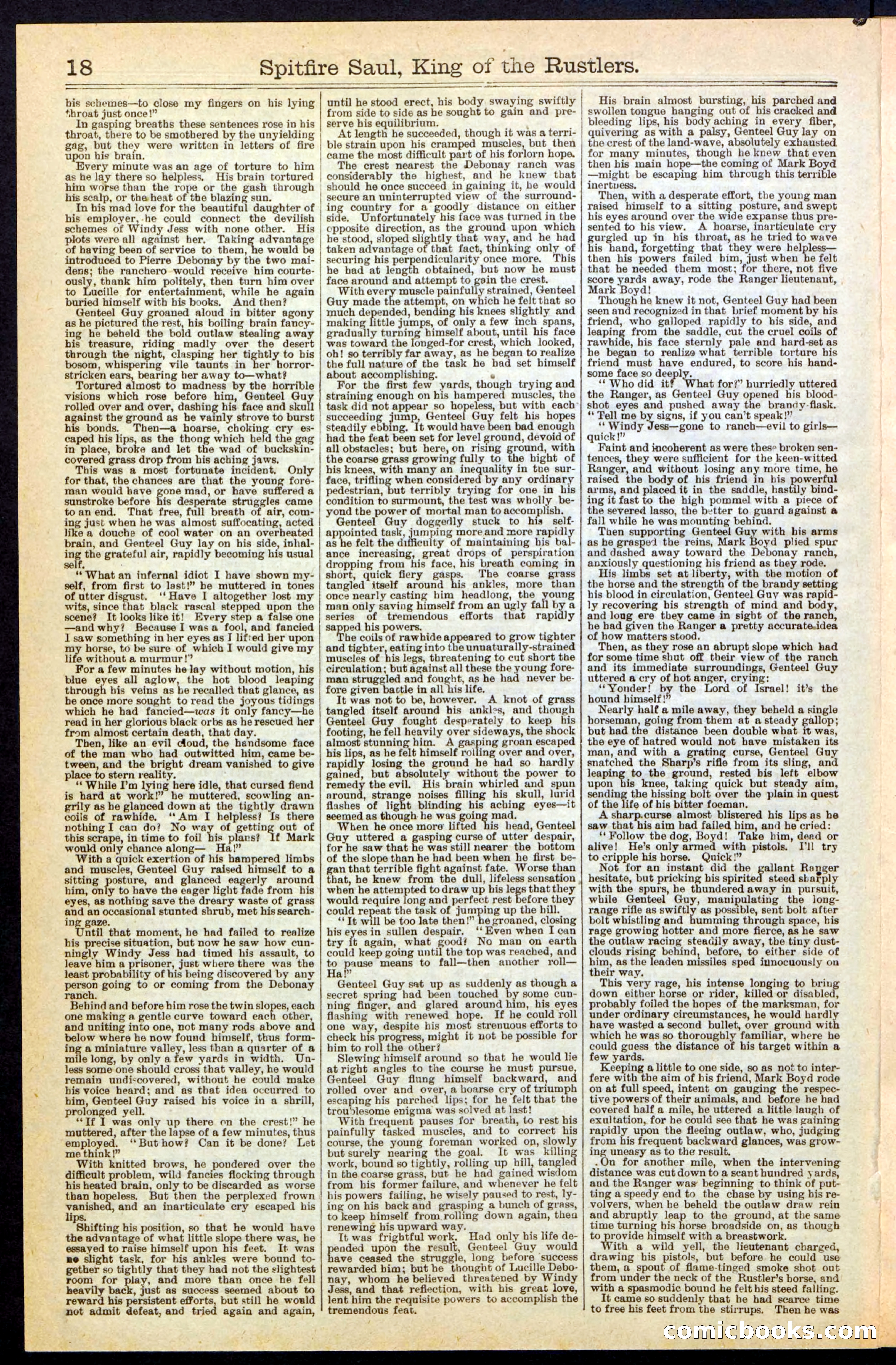 Beadle's New York Dime Library No. 241 — page 18 of 32