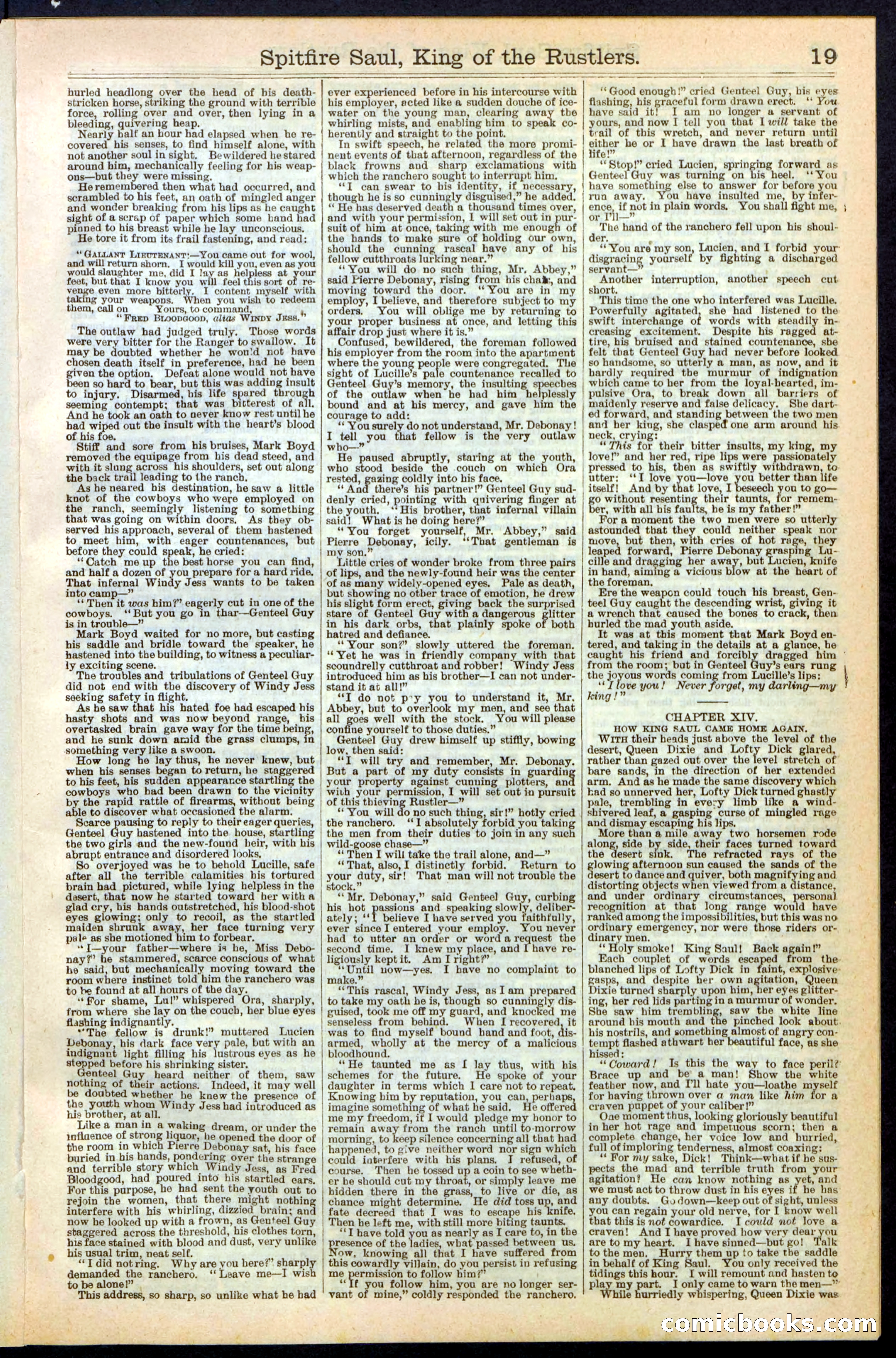 Beadle's New York Dime Library No. 241 — page 19 of 32