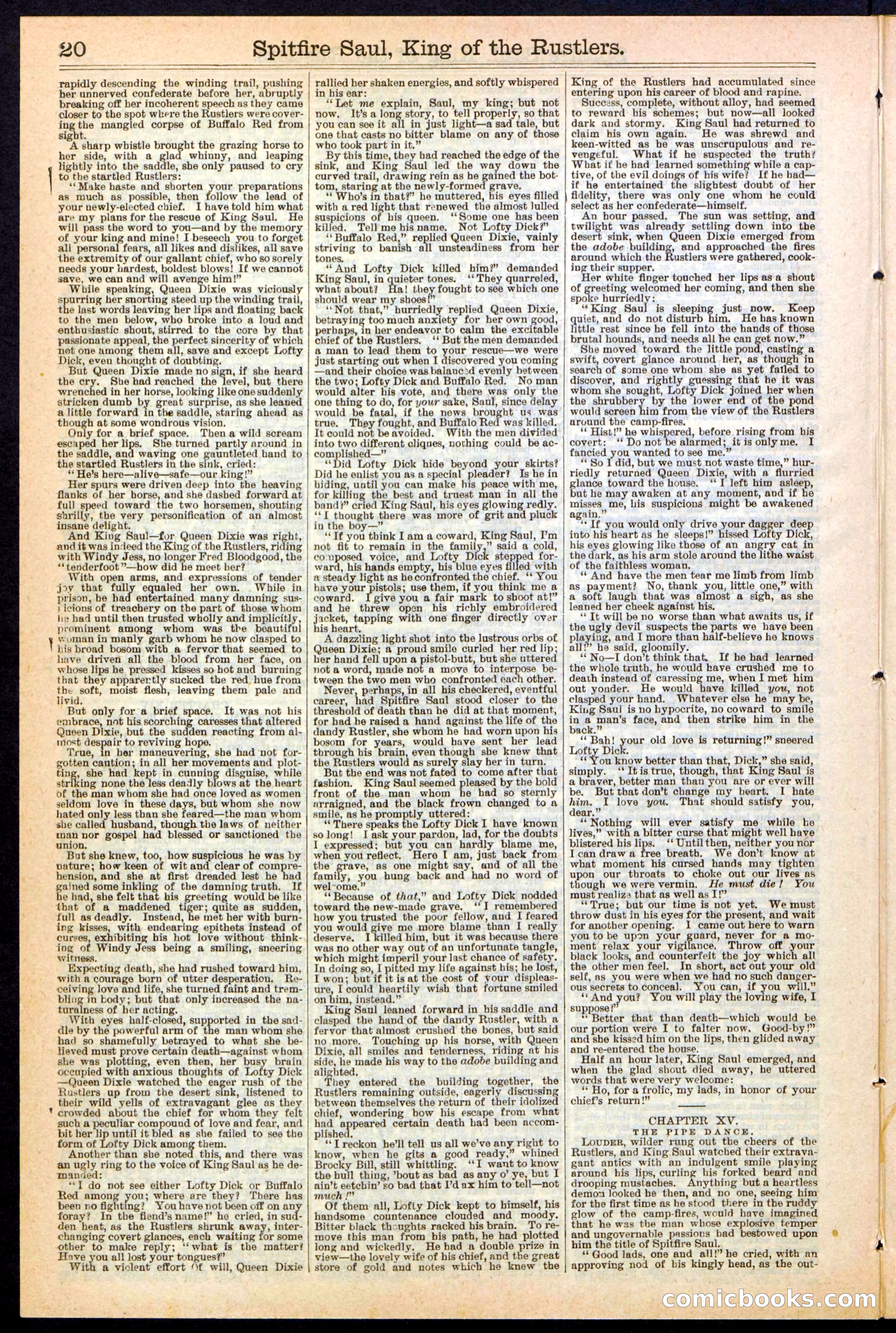 Beadle's New York Dime Library No. 241 — page 20 of 32