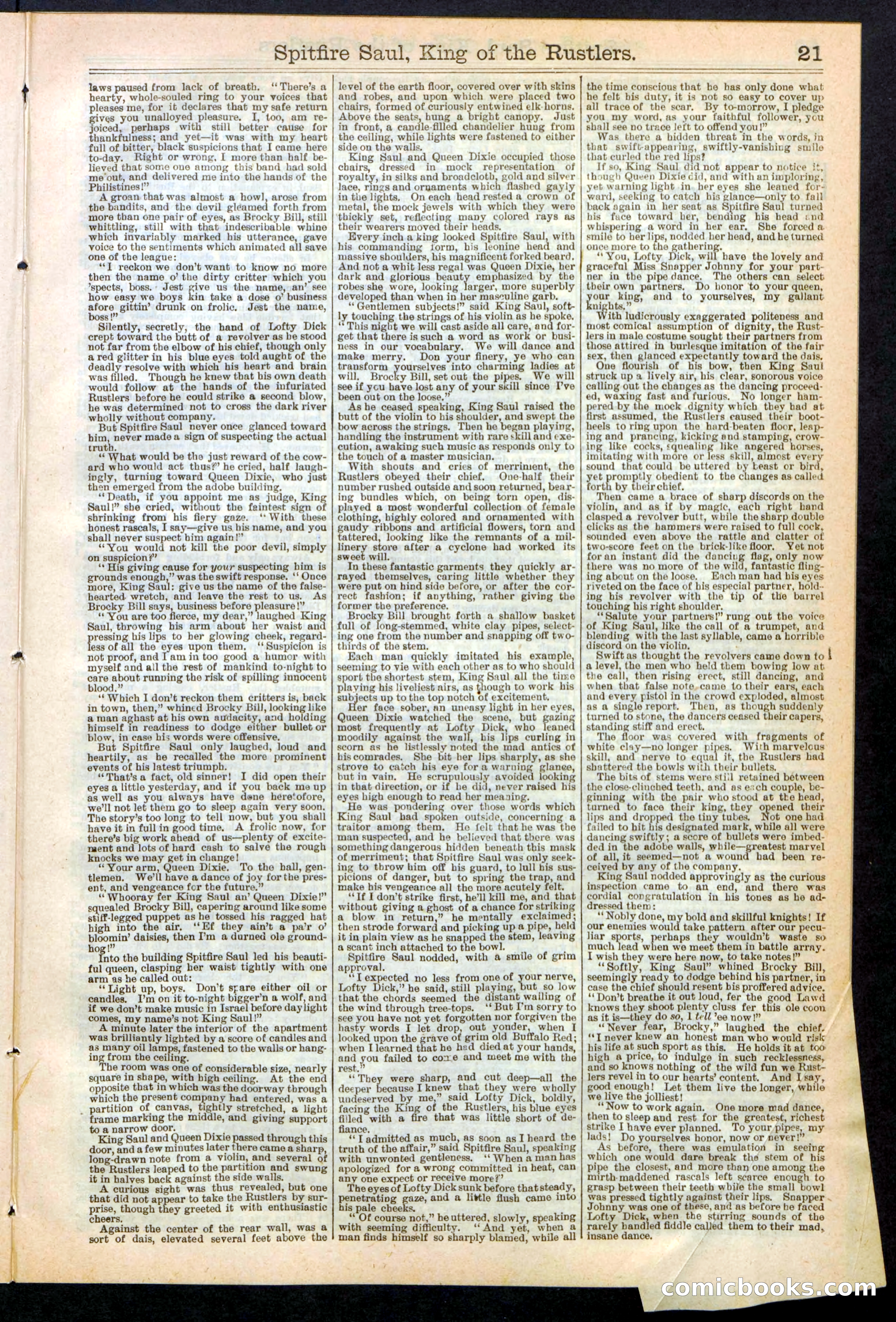 Beadle's New York Dime Library No. 241 — page 21 of 32