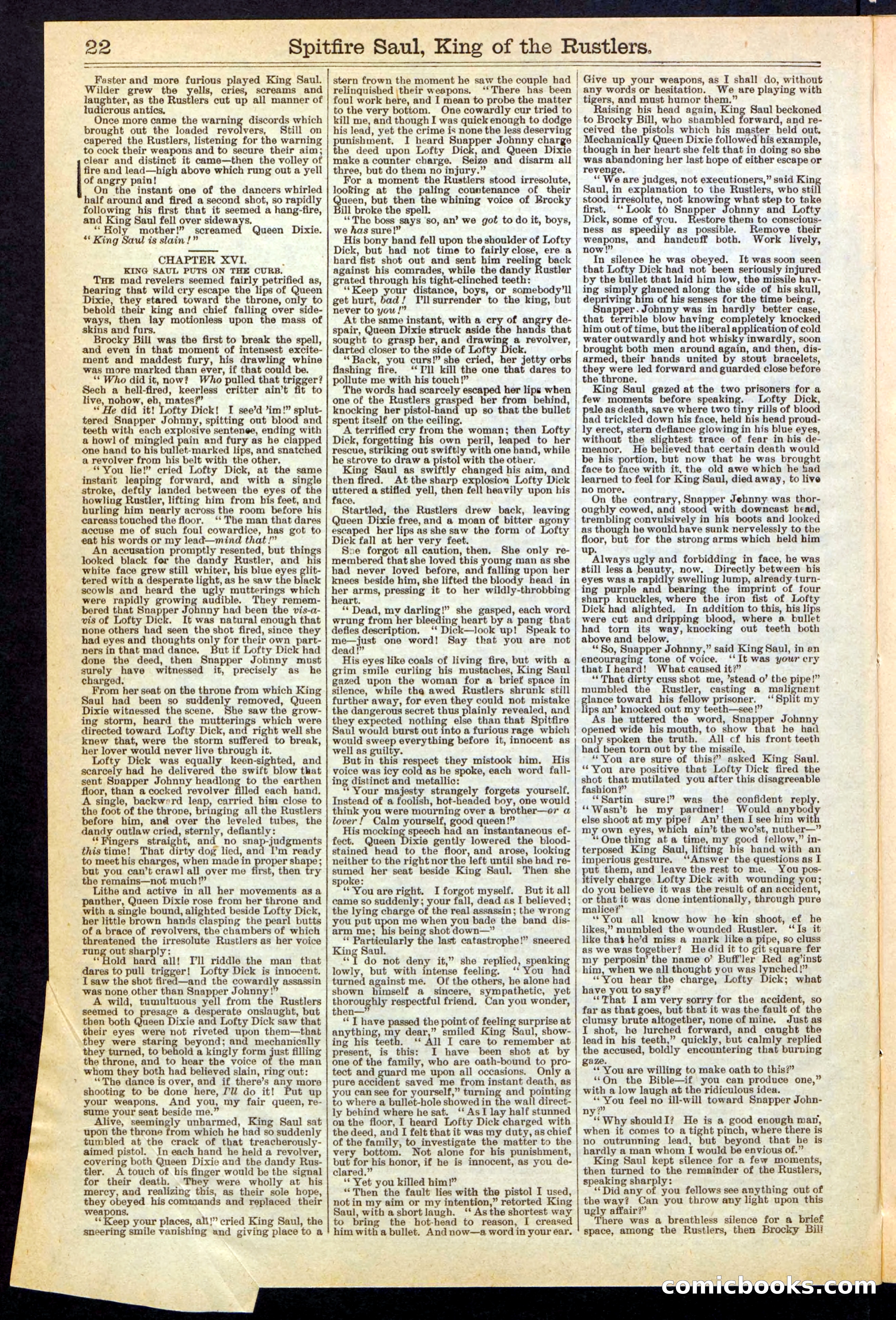 Beadle's New York Dime Library No. 241 — page 22 of 32
