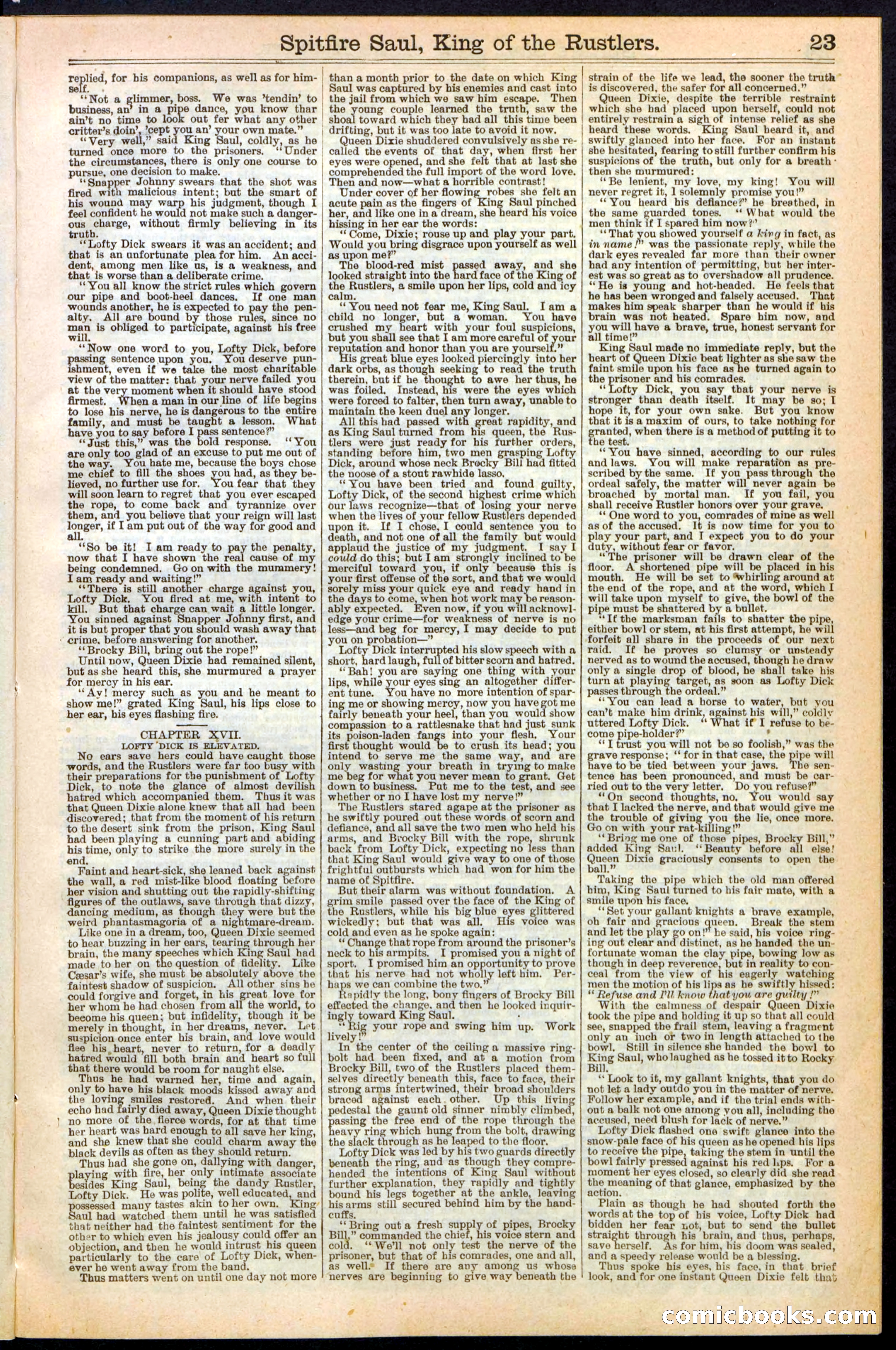 Beadle's New York Dime Library No. 241 — page 23 of 32