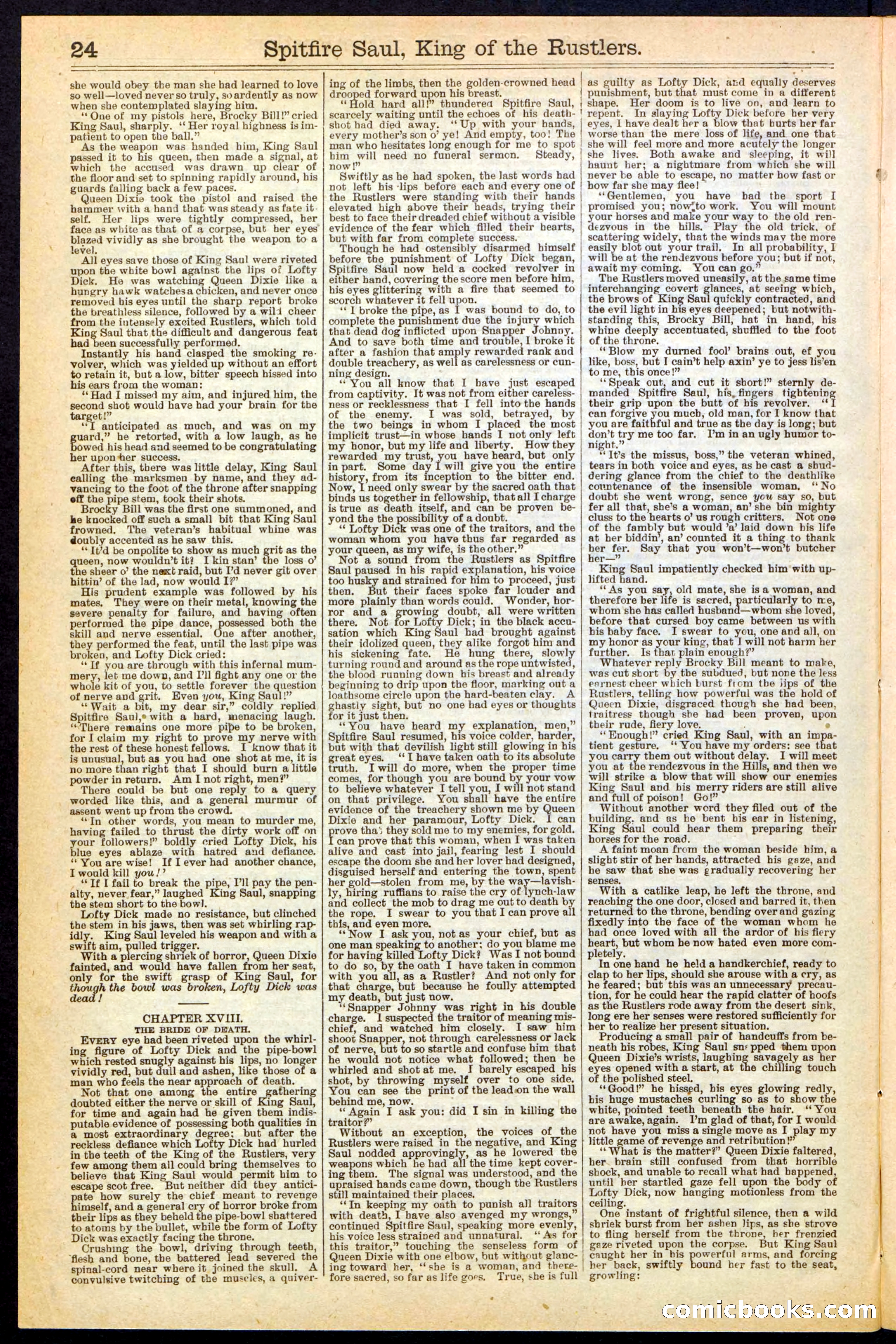 Beadle's New York Dime Library No. 241 — page 24 of 32