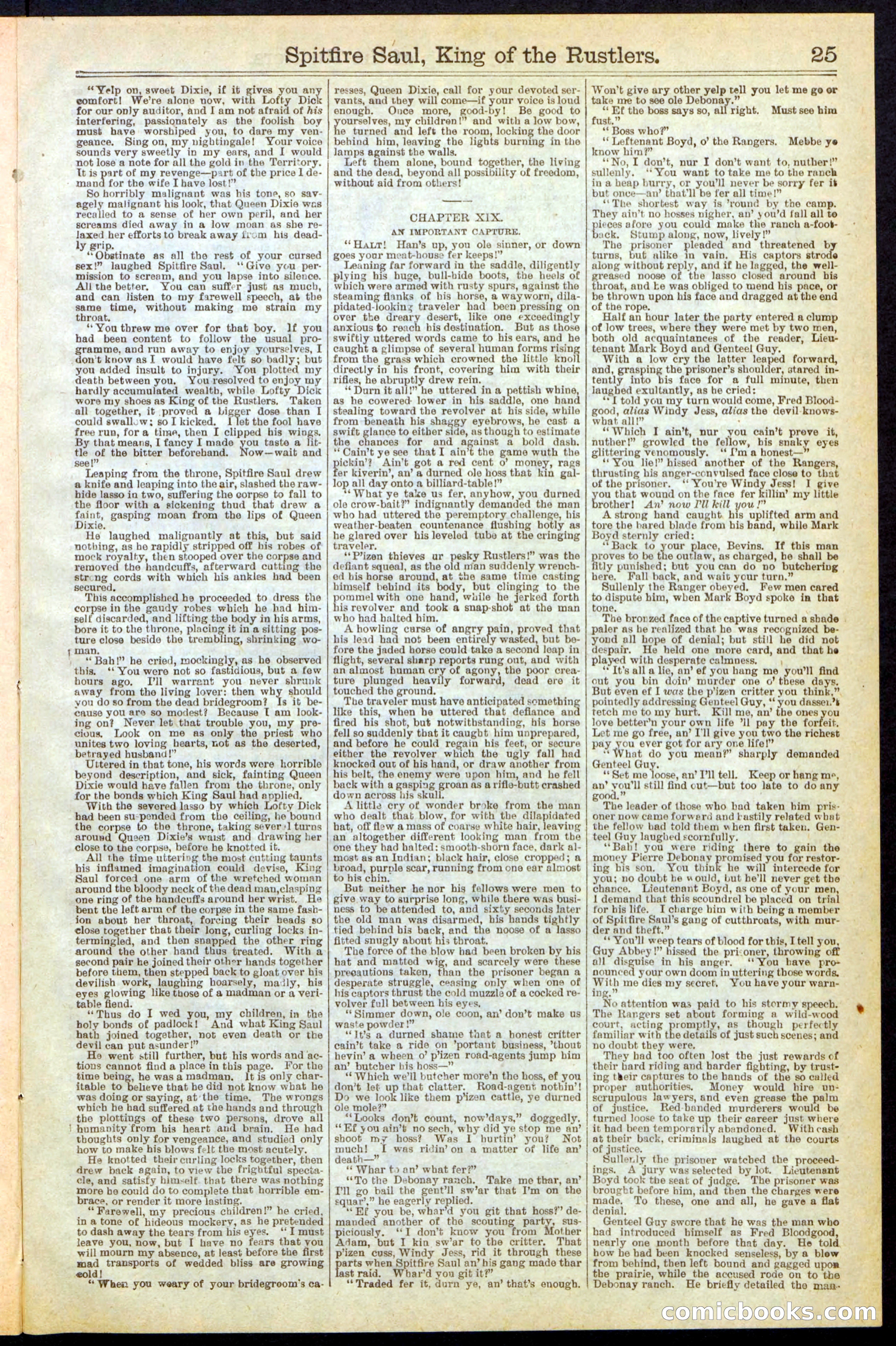 Beadle's New York Dime Library No. 241 — page 25 of 32
