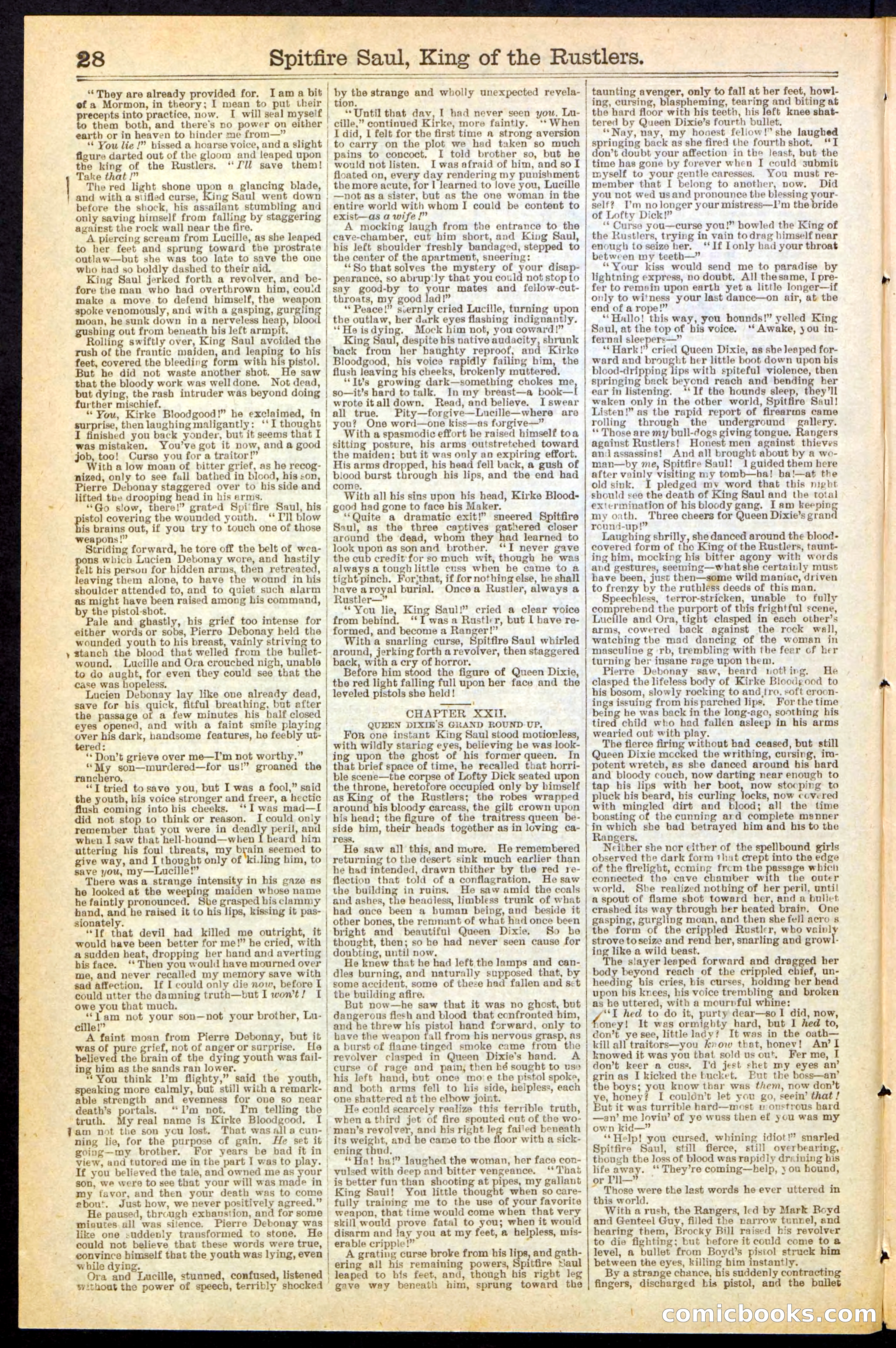 Beadle's New York Dime Library No. 241 — page 28 of 32