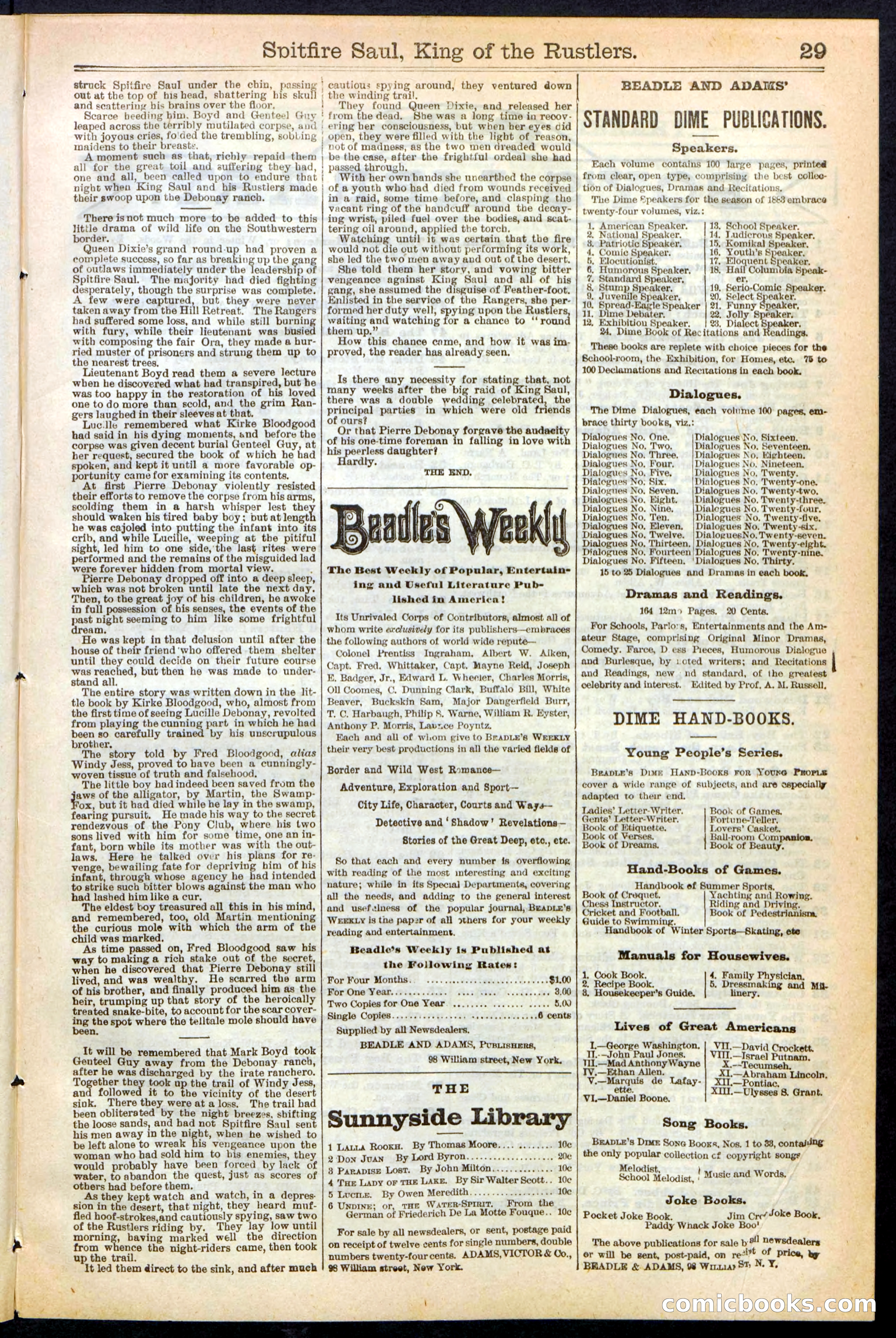 Beadle's New York Dime Library No. 241 — page 29 of 32
