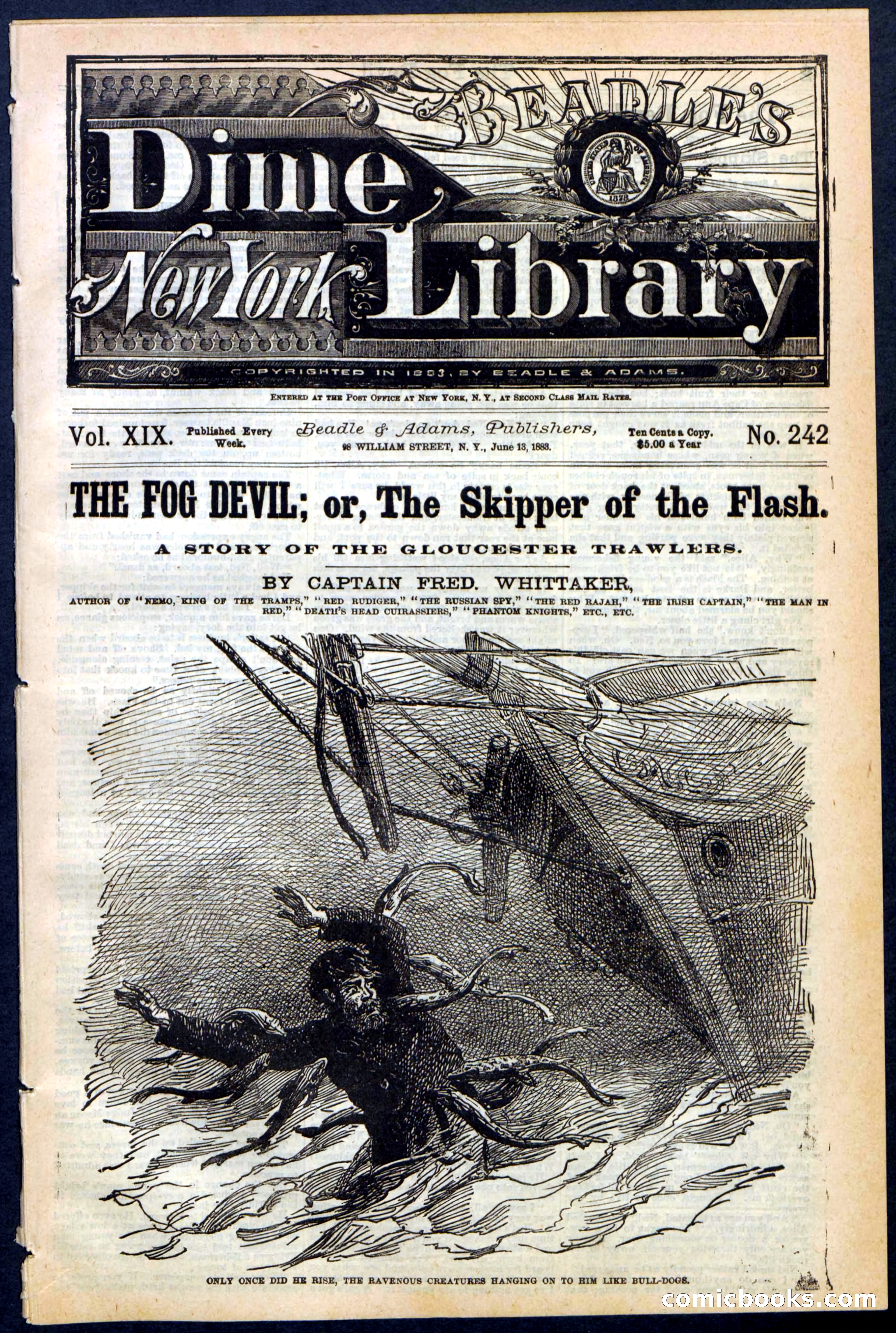 Beadle's New York Dime Library, No. 242