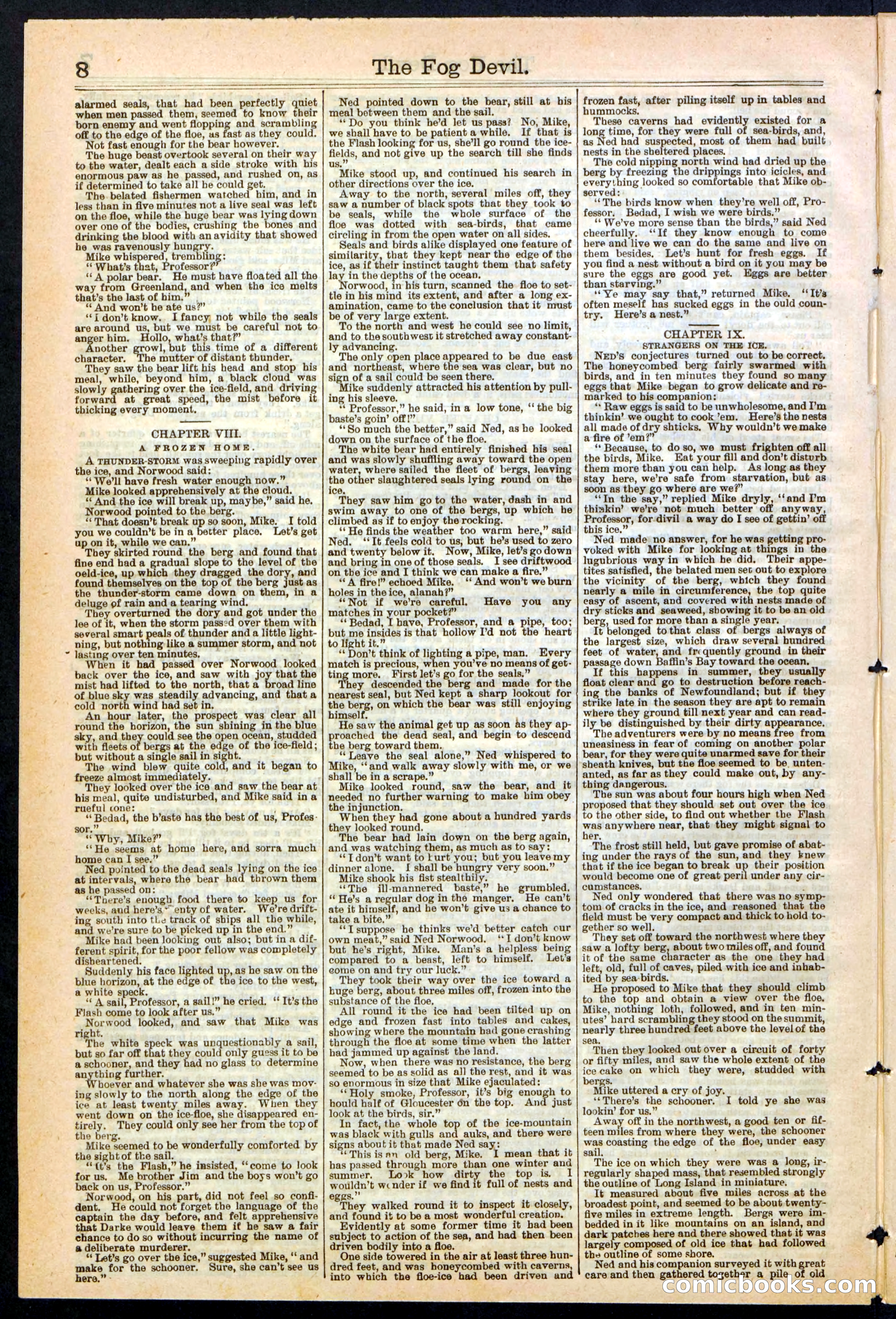 Beadle's New York Dime Library, No. 242 — page 8 of 32