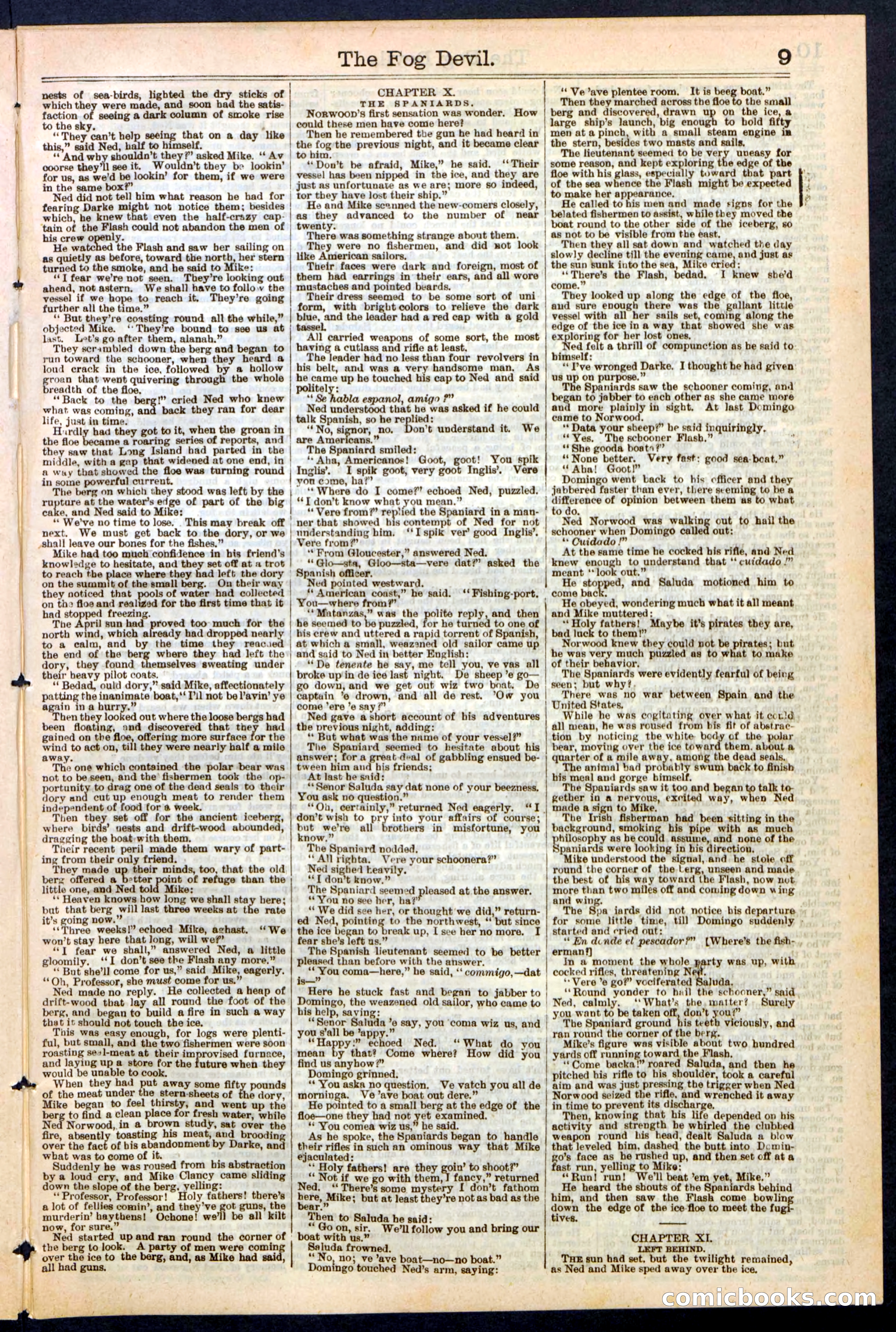Beadle's New York Dime Library, No. 242 — page 9 of 32