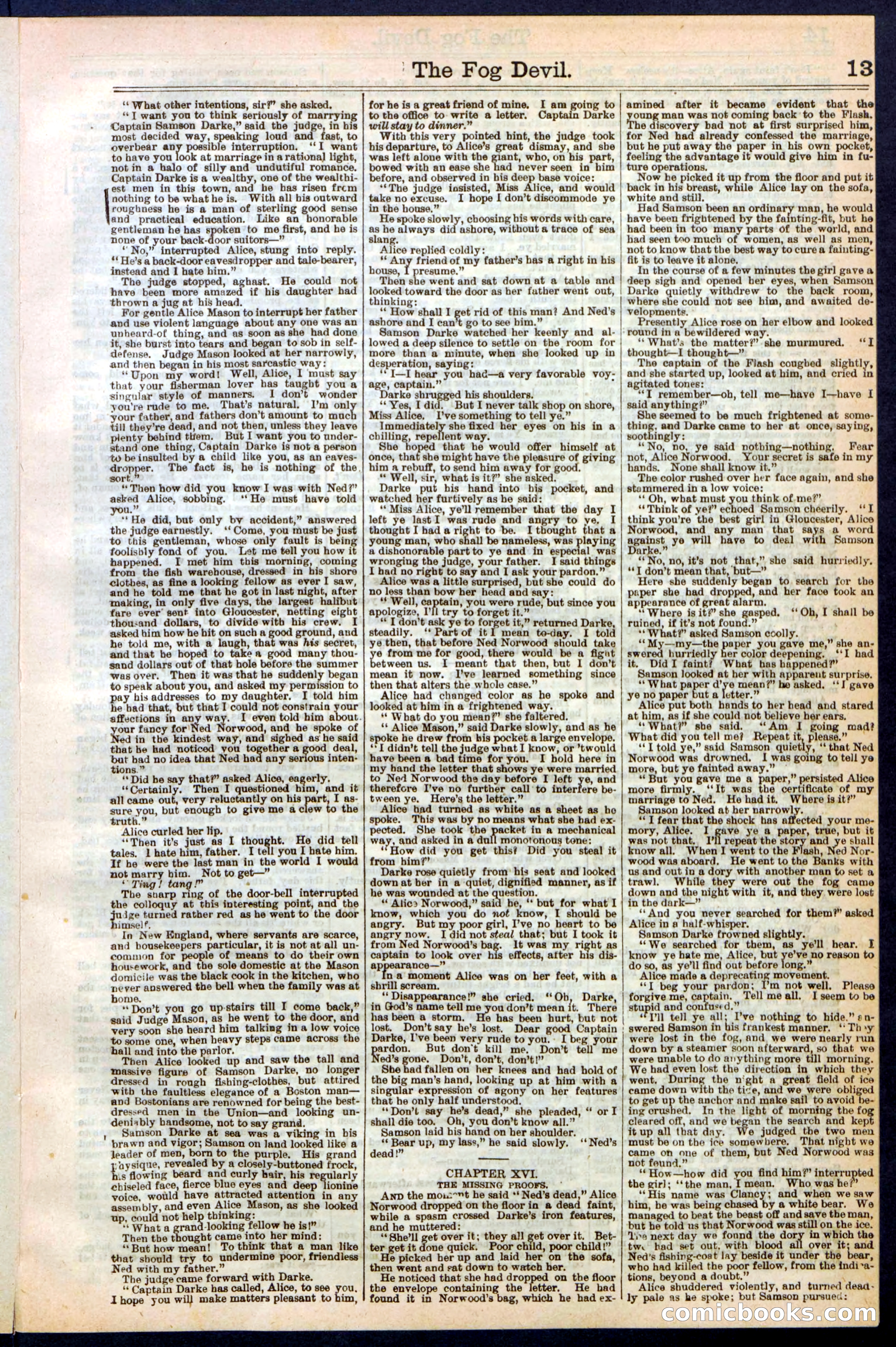 Beadle's New York Dime Library, No. 242 — page 13 of 32