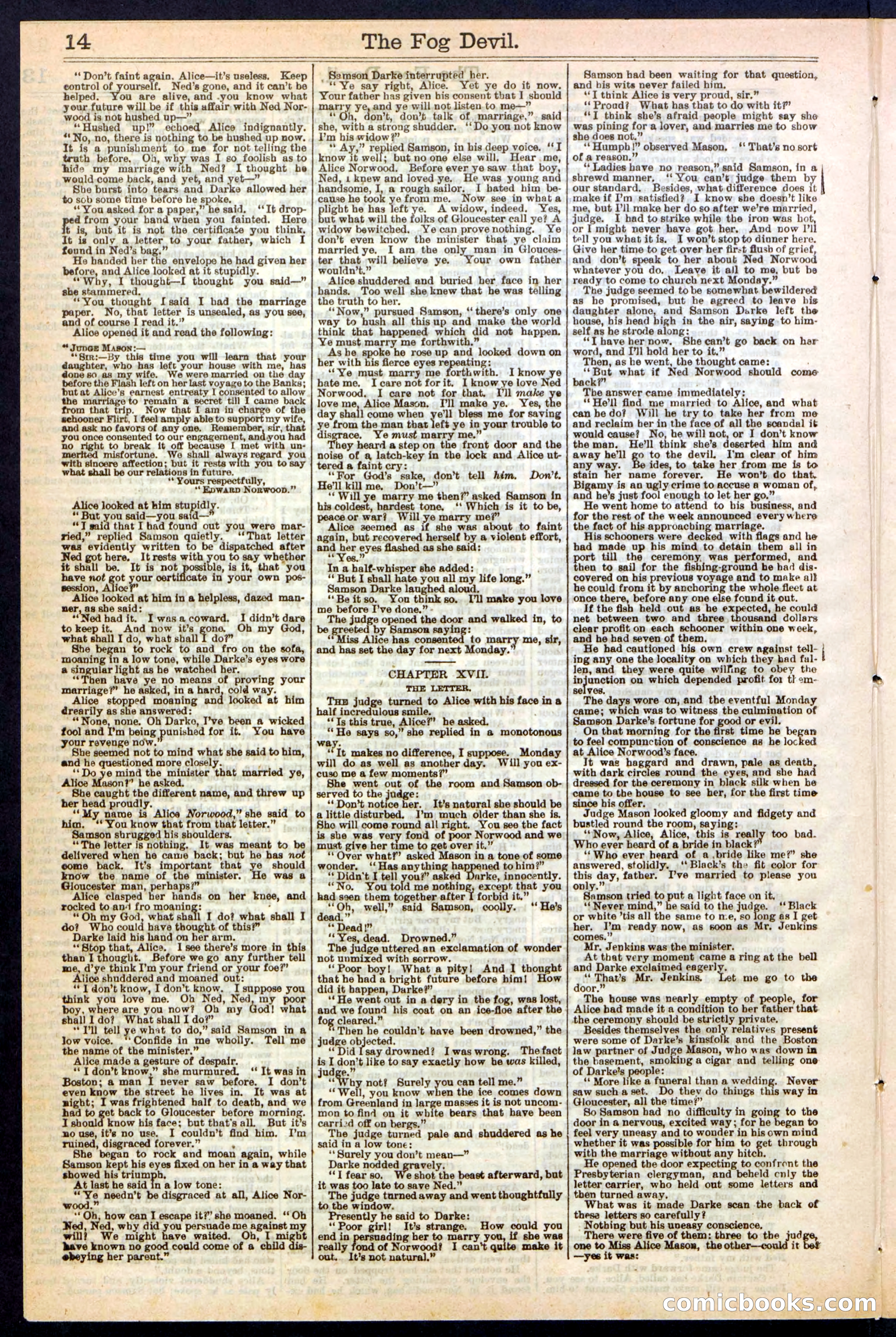 Beadle's New York Dime Library, No. 242 — page 14 of 32