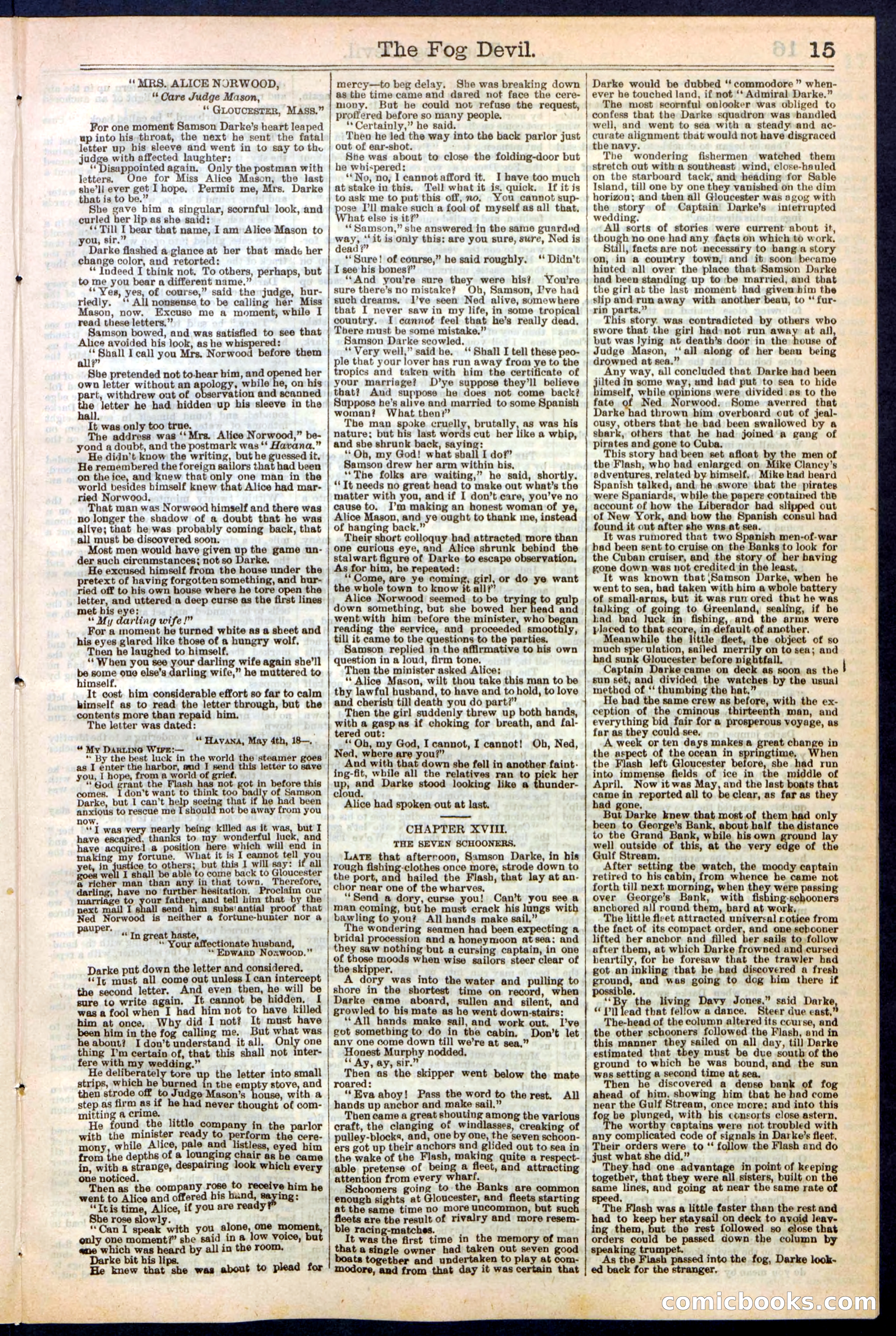Beadle's New York Dime Library, No. 242 — page 15 of 32