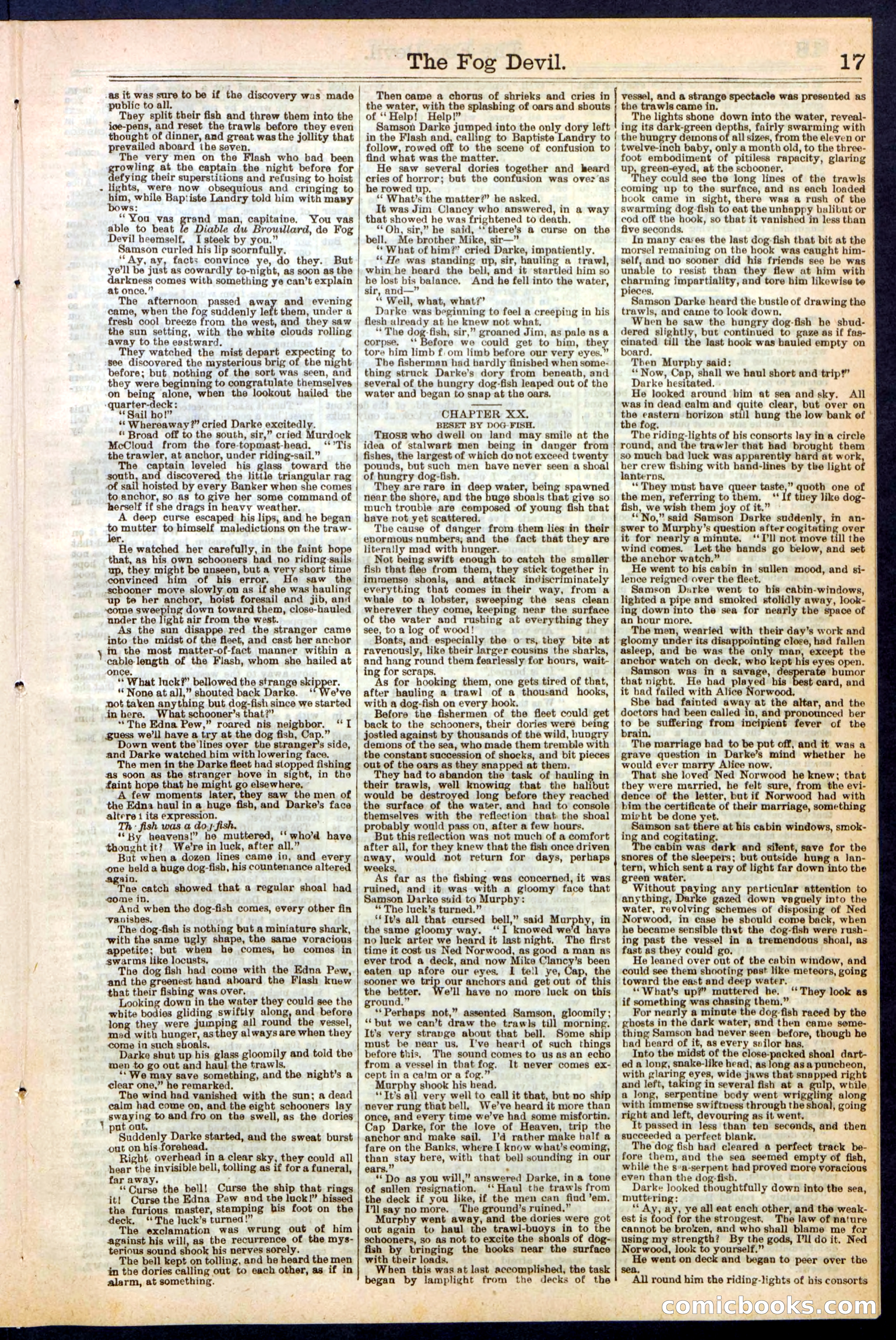 Beadle's New York Dime Library, No. 242 — page 17 of 32