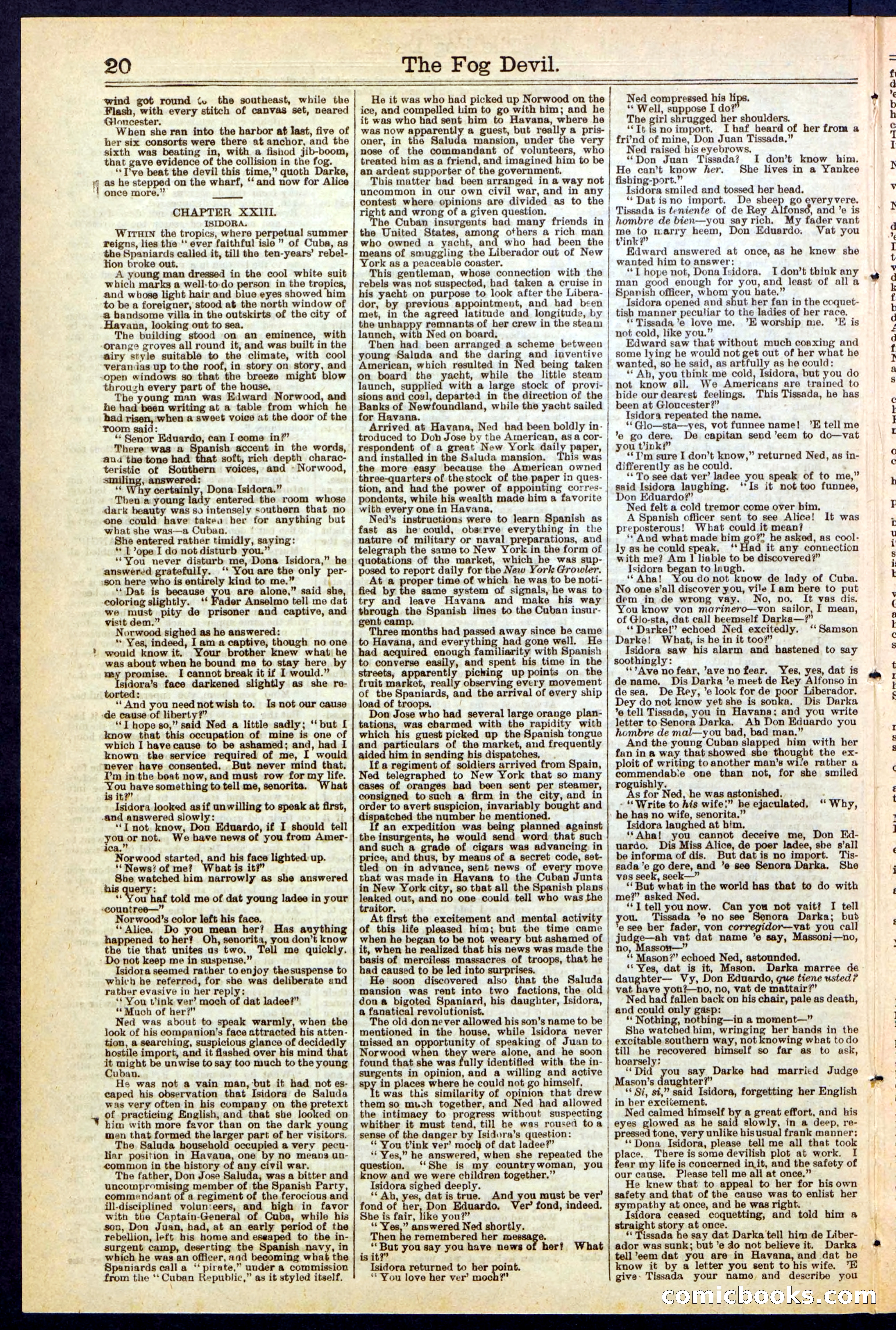 Beadle's New York Dime Library, No. 242 — page 20 of 32