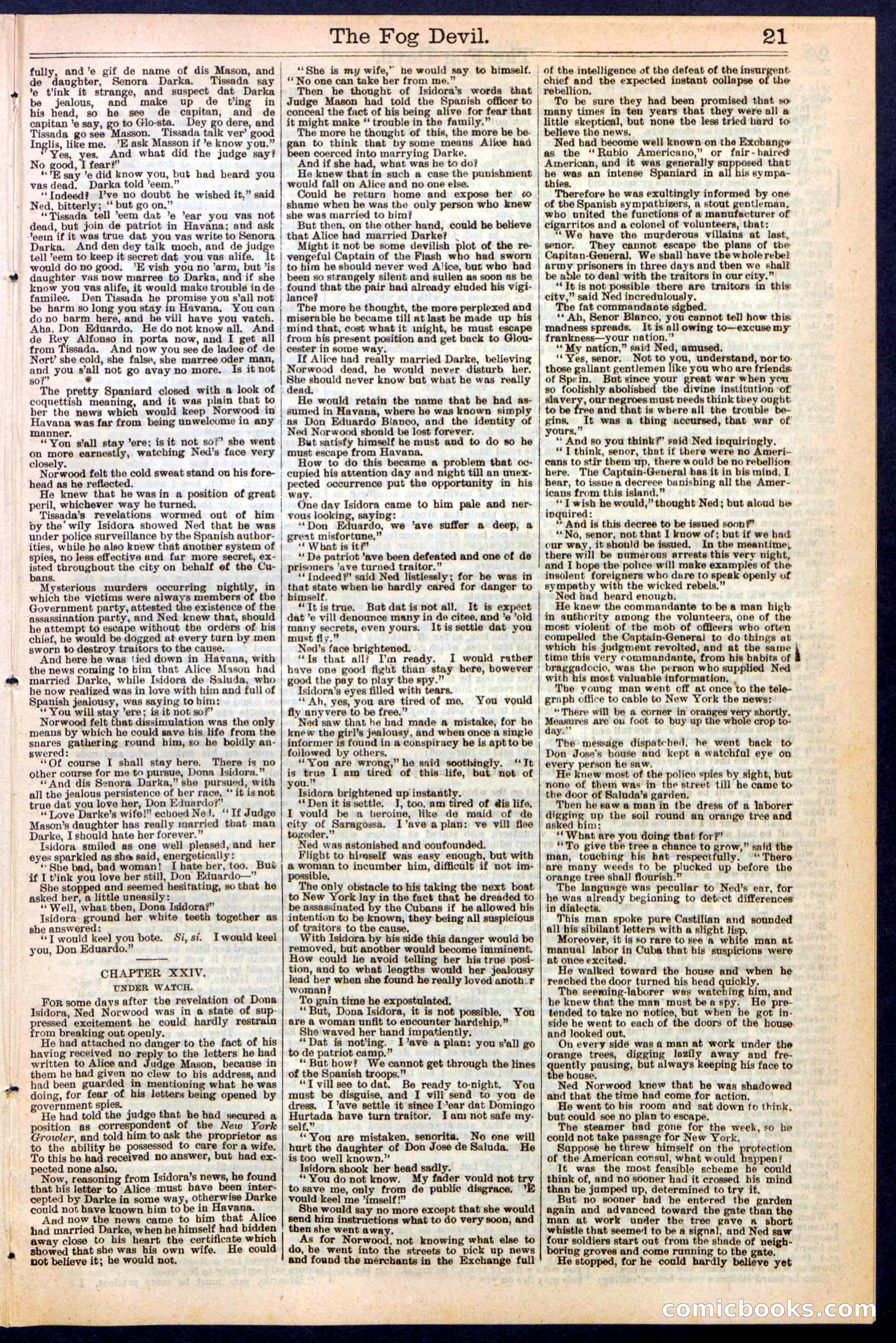 Beadle's New York Dime Library, No. 242 — page 21 of 32