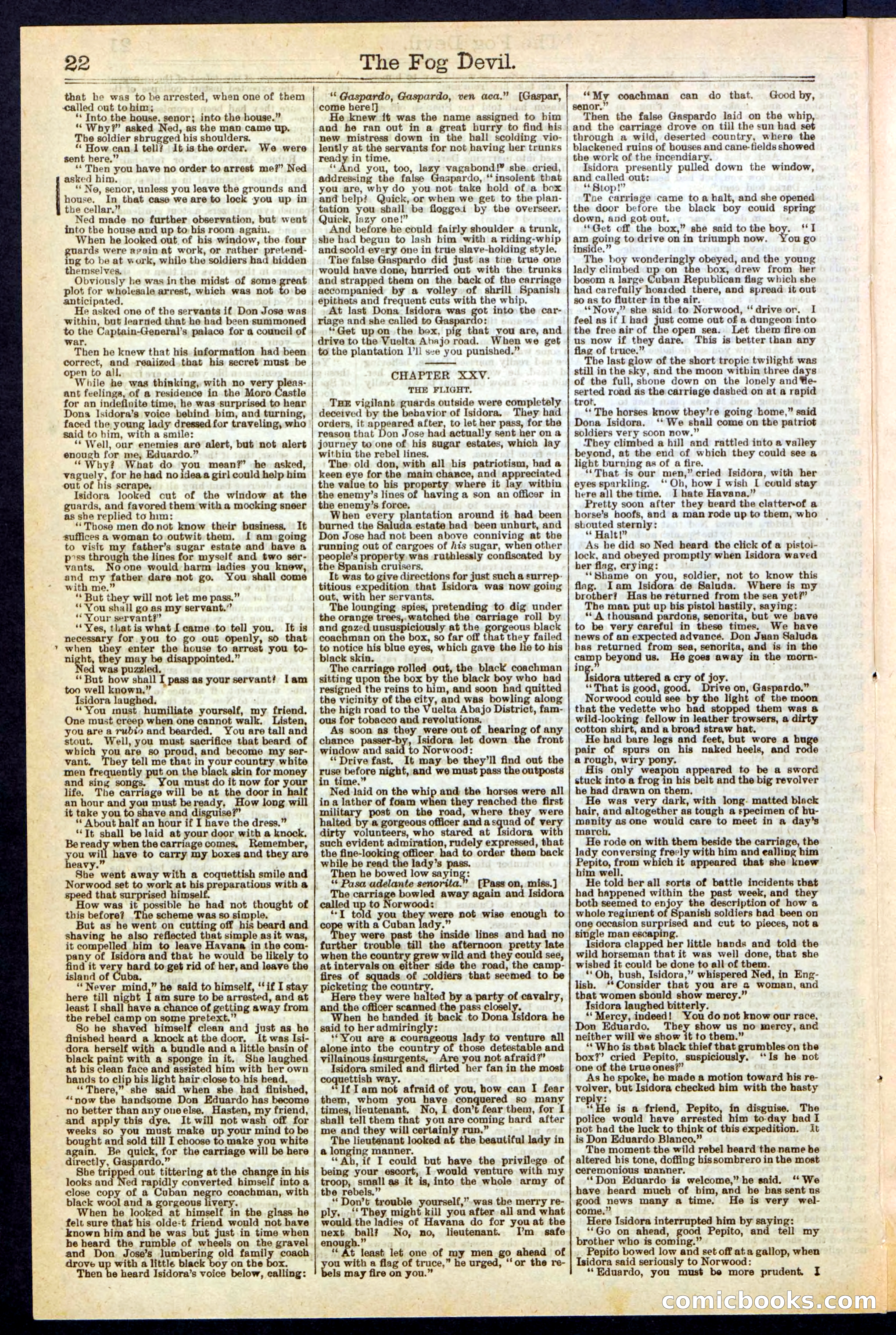 Beadle's New York Dime Library, No. 242 — page 22 of 32
