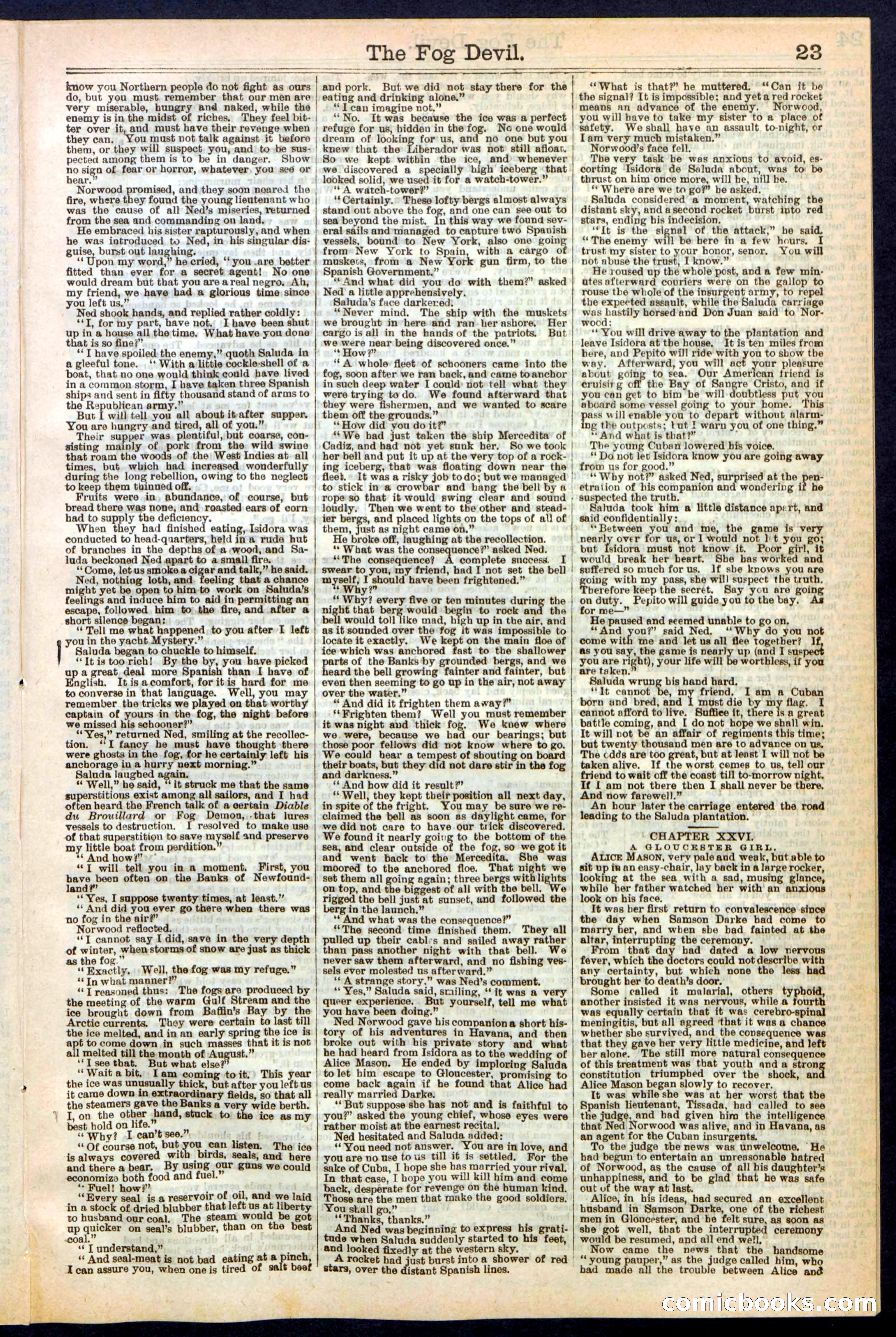 Beadle's New York Dime Library, No. 242 — page 23 of 32