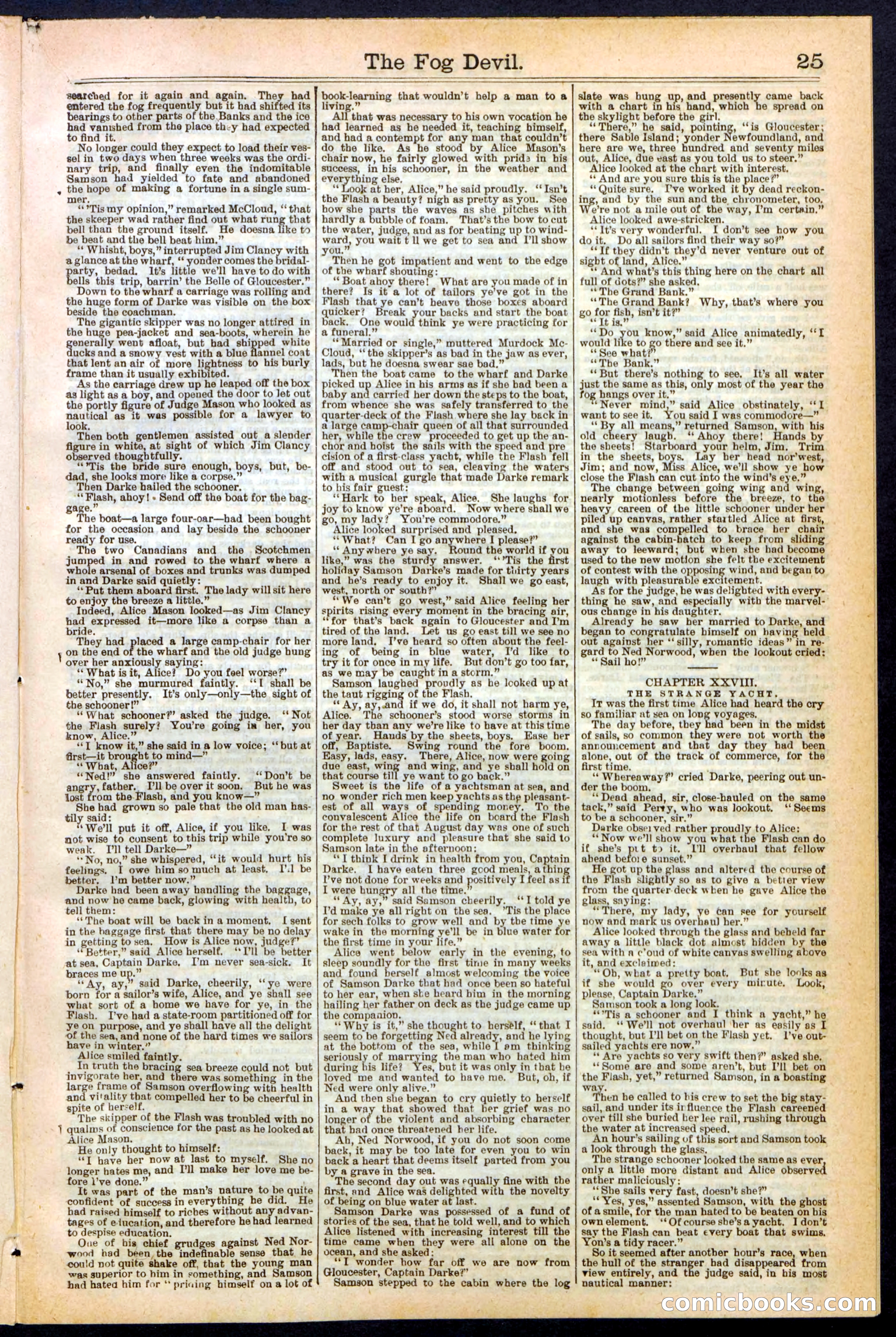 Beadle's New York Dime Library, No. 242 — page 25 of 32