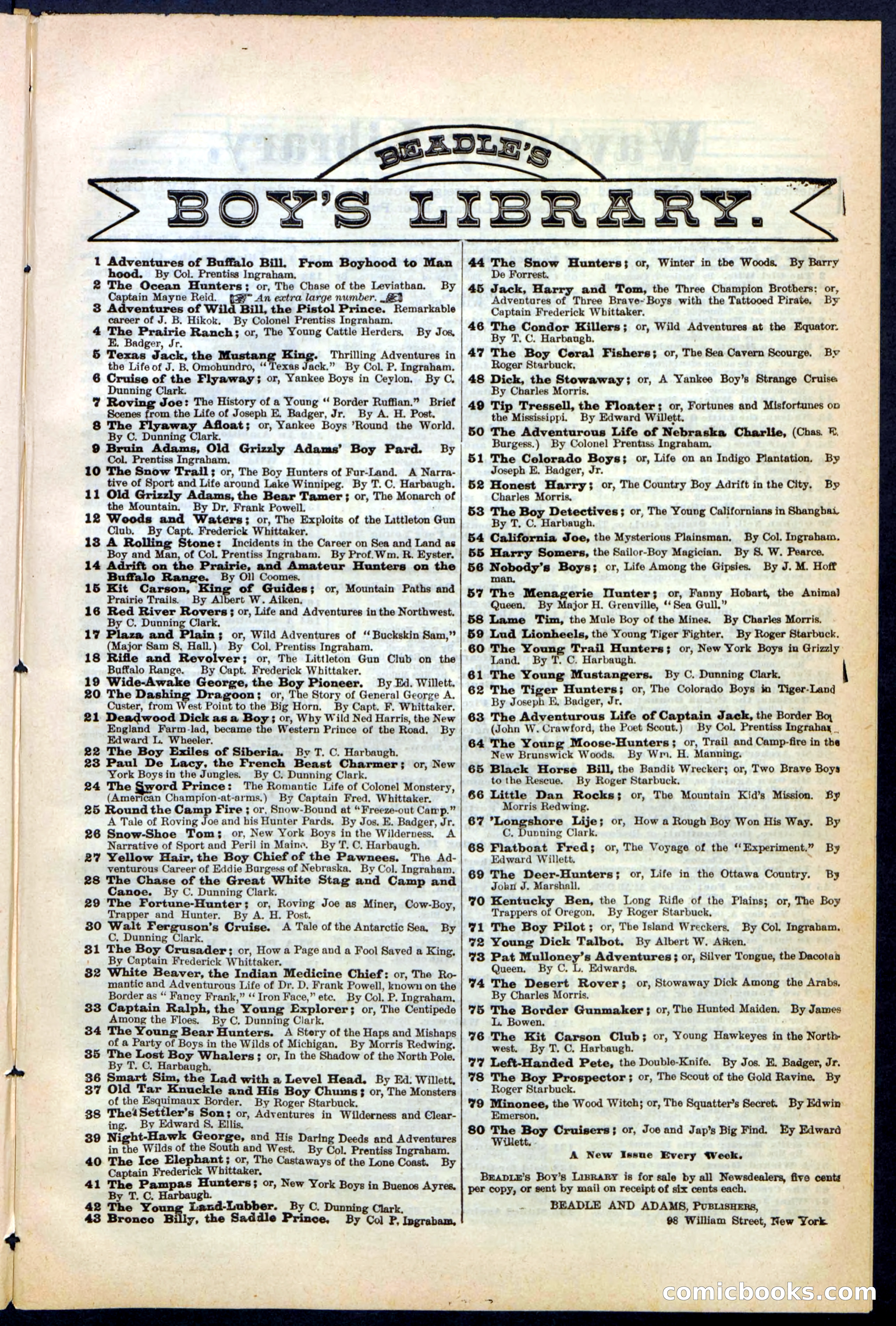 Beadle's New York Dime Library, No. 242 — page 29 of 32