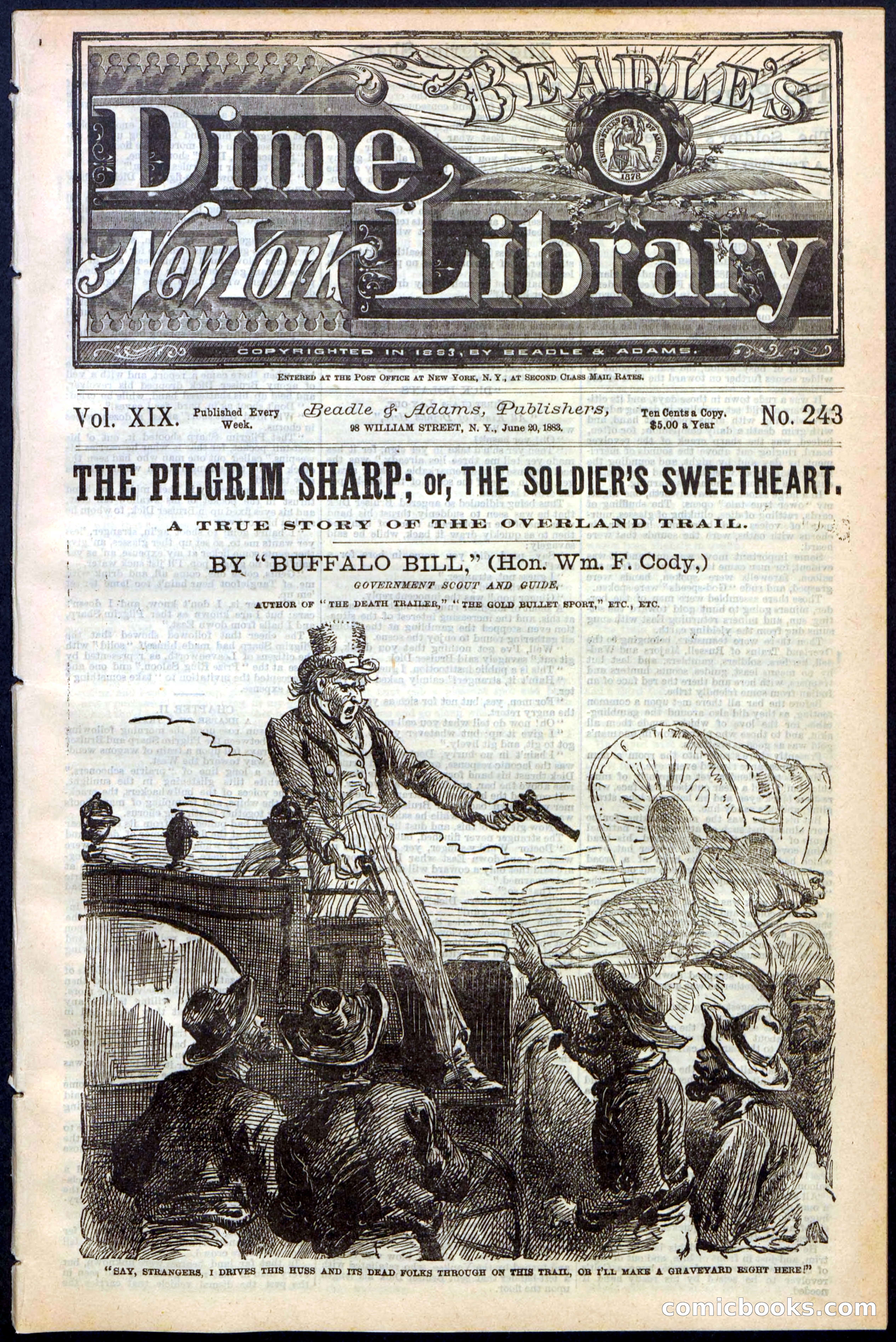 Beadle's New York Dime Library No. 243 — page 1 of 32