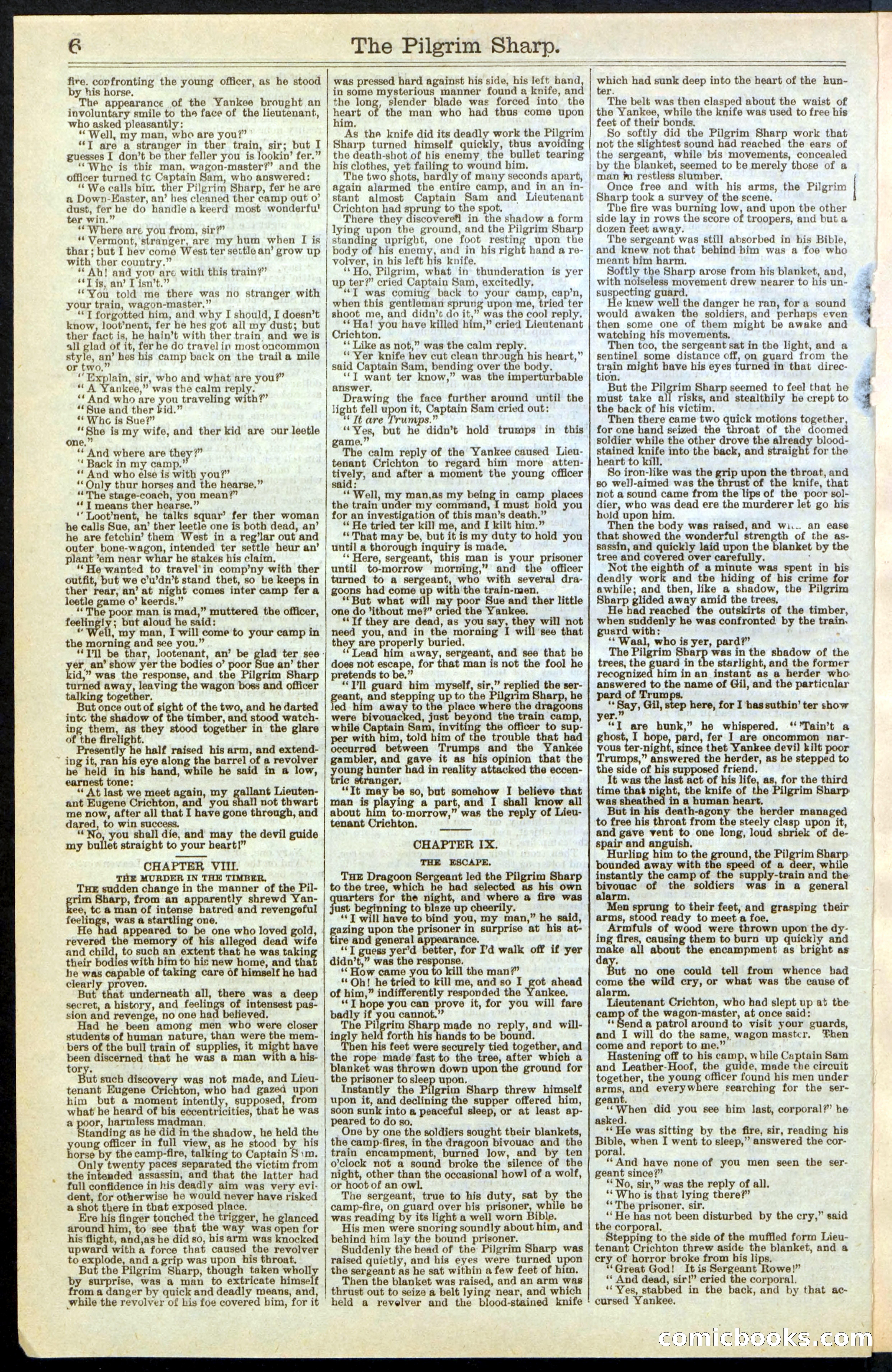 Beadle's New York Dime Library No. 243 — page 6 of 32