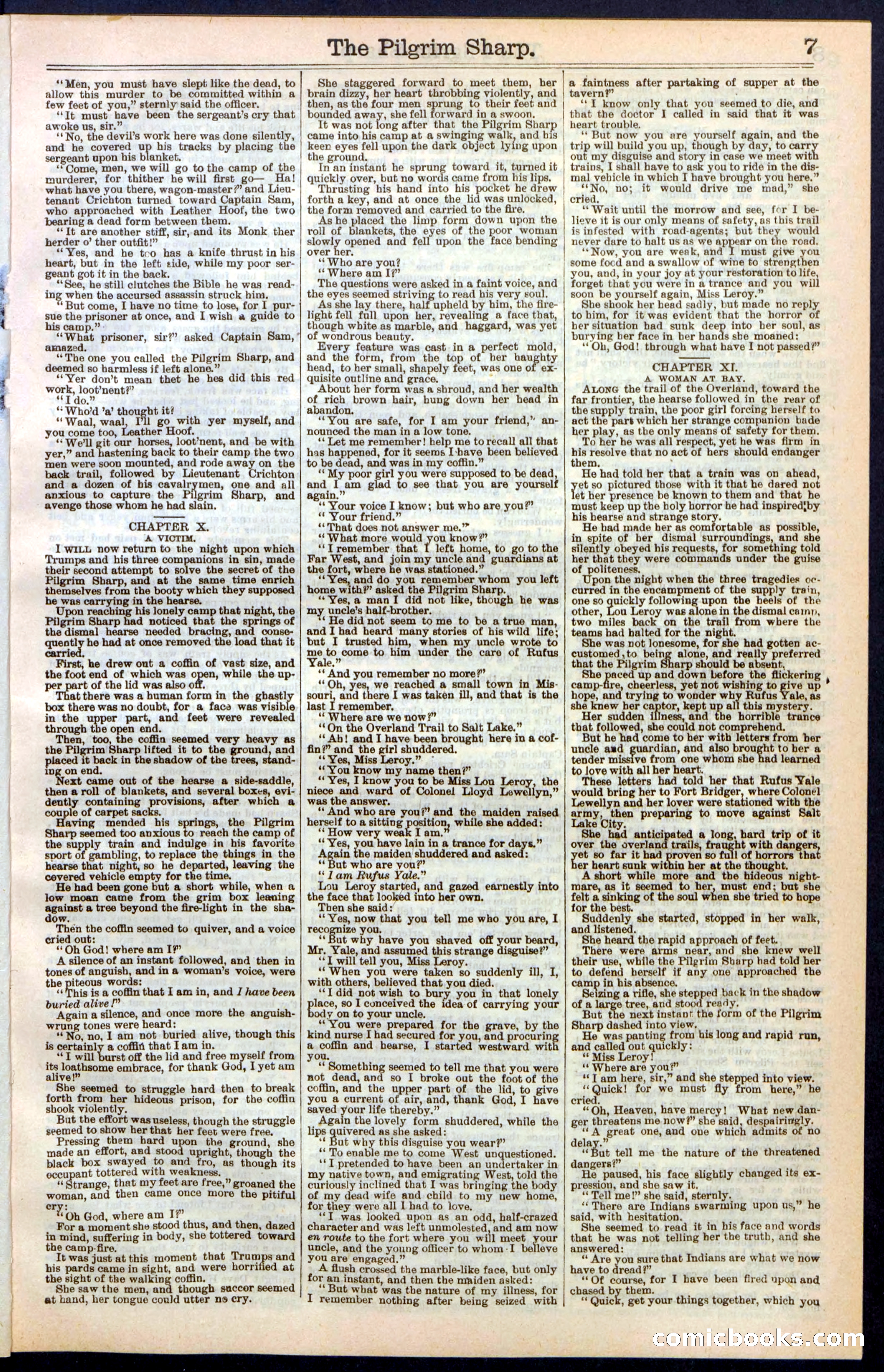 Beadle's New York Dime Library No. 243 — page 7 of 32