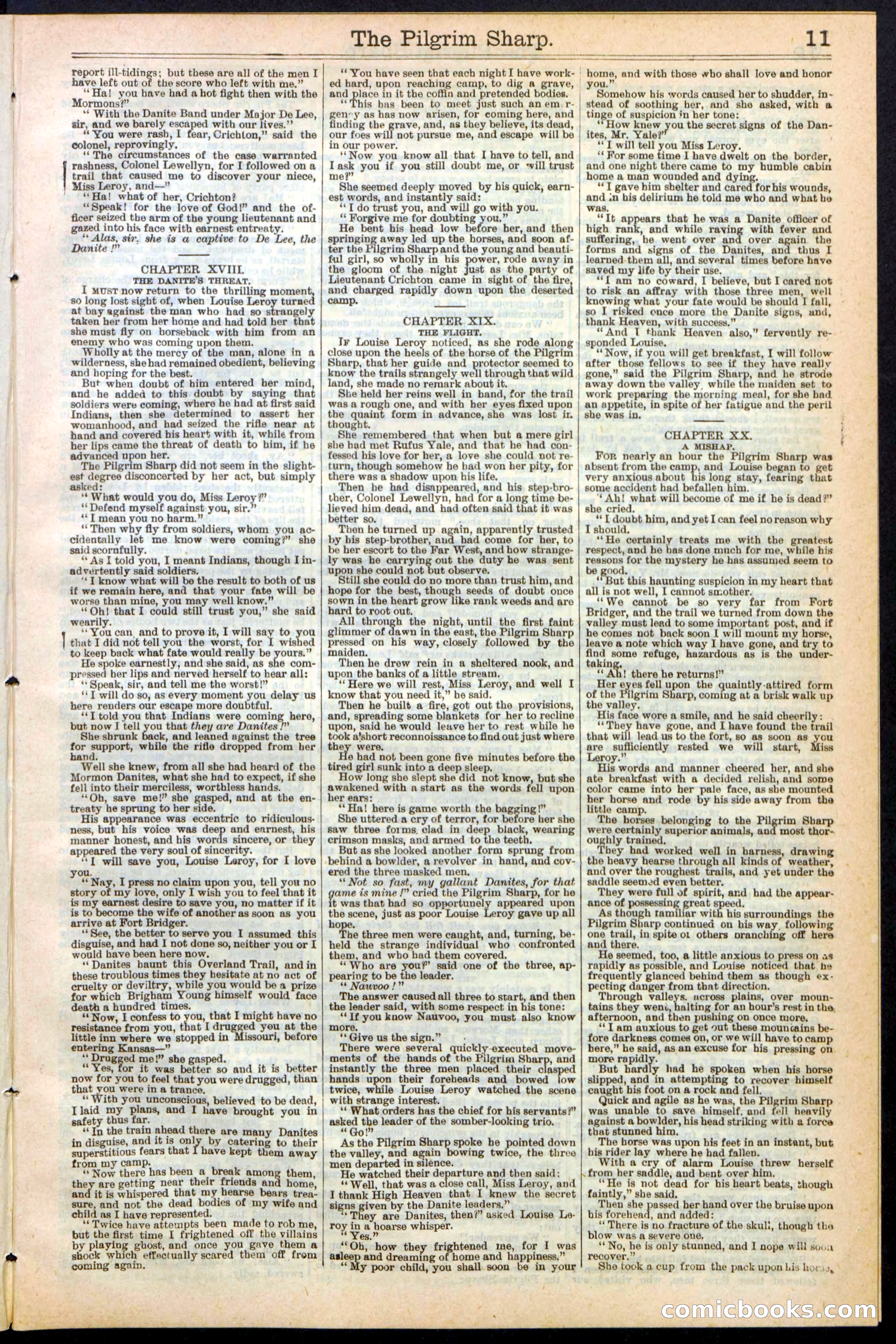 Beadle's New York Dime Library No. 243 — page 11 of 32