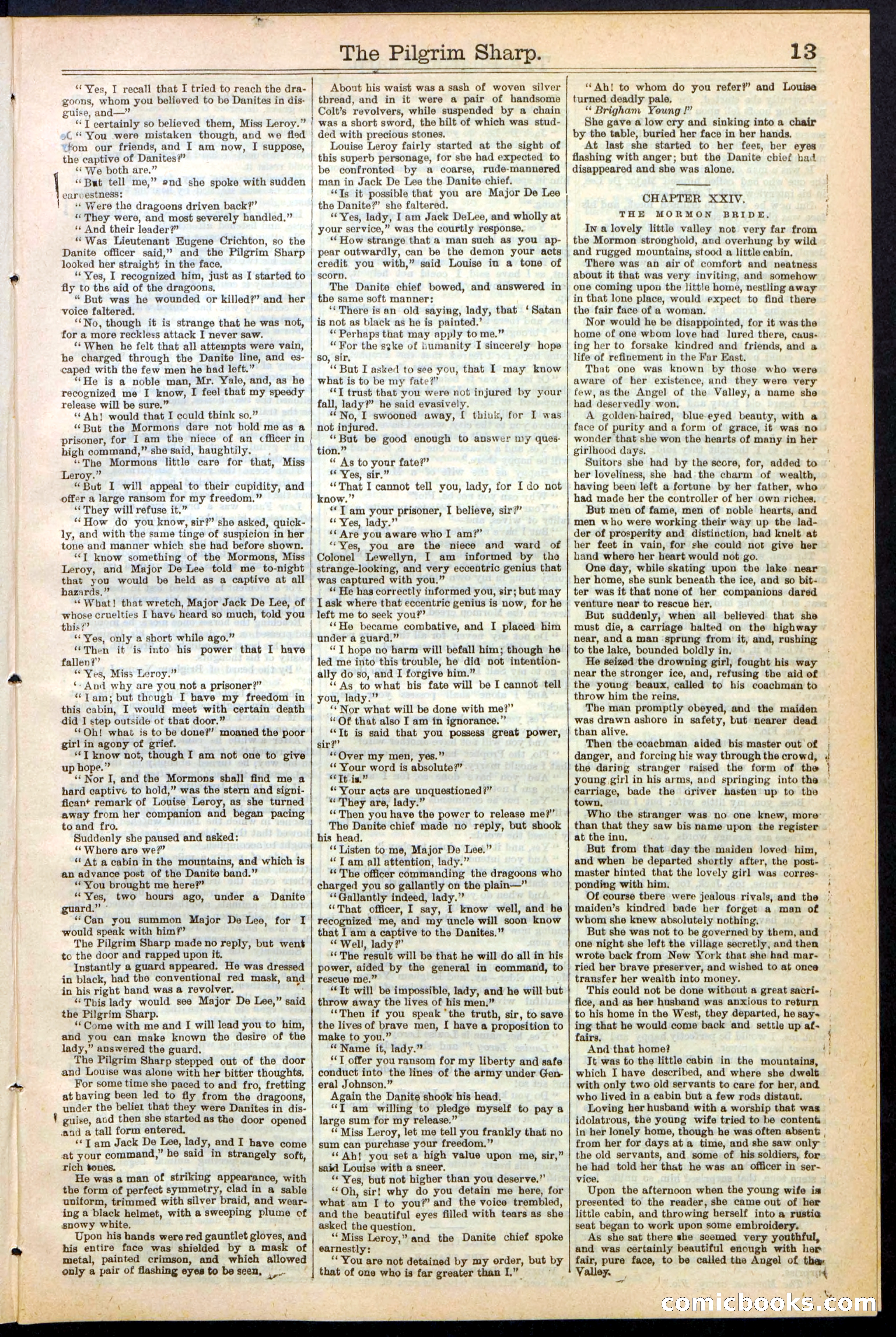 Beadle's New York Dime Library No. 243 — page 13 of 32