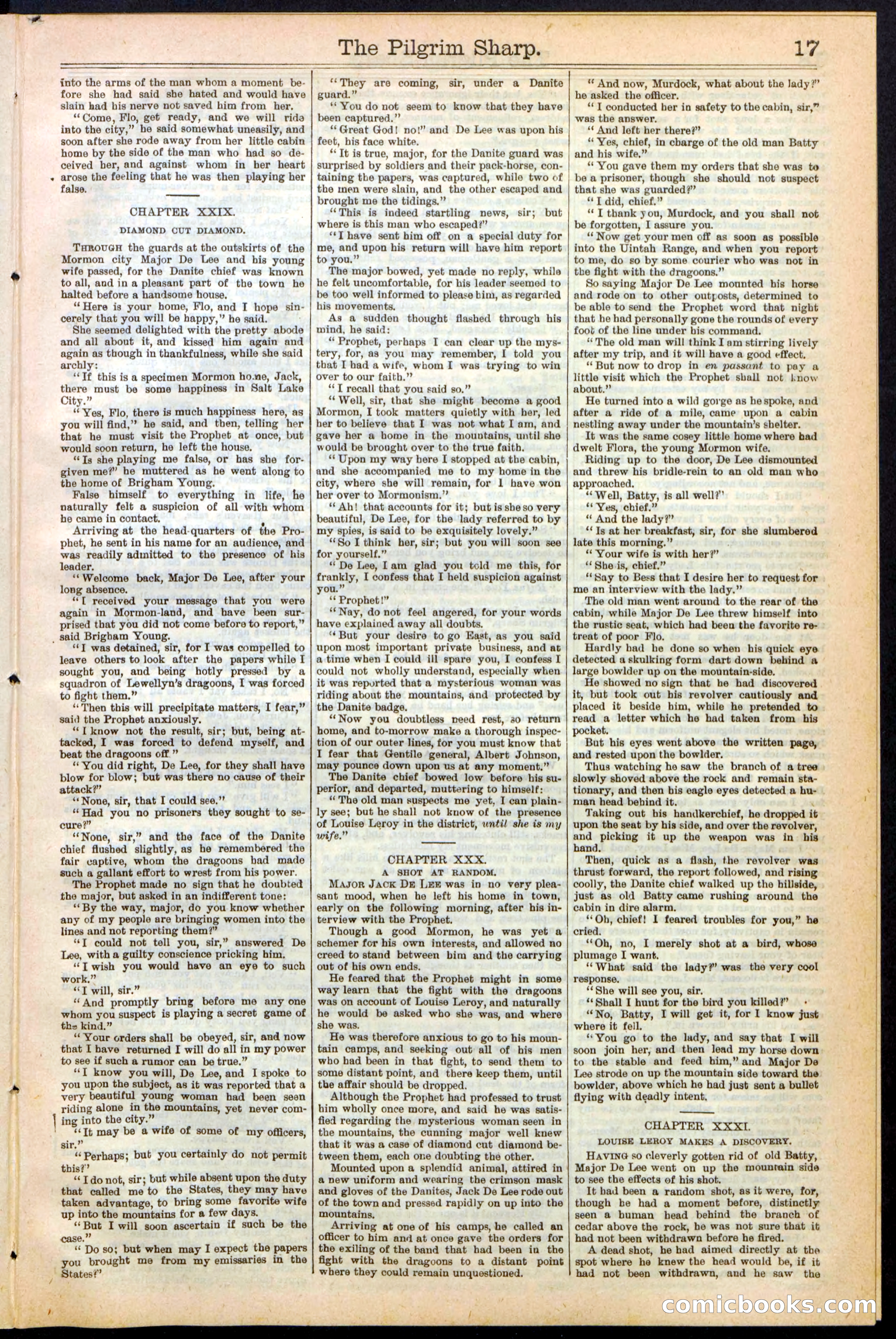 Beadle's New York Dime Library No. 243 — page 17 of 32