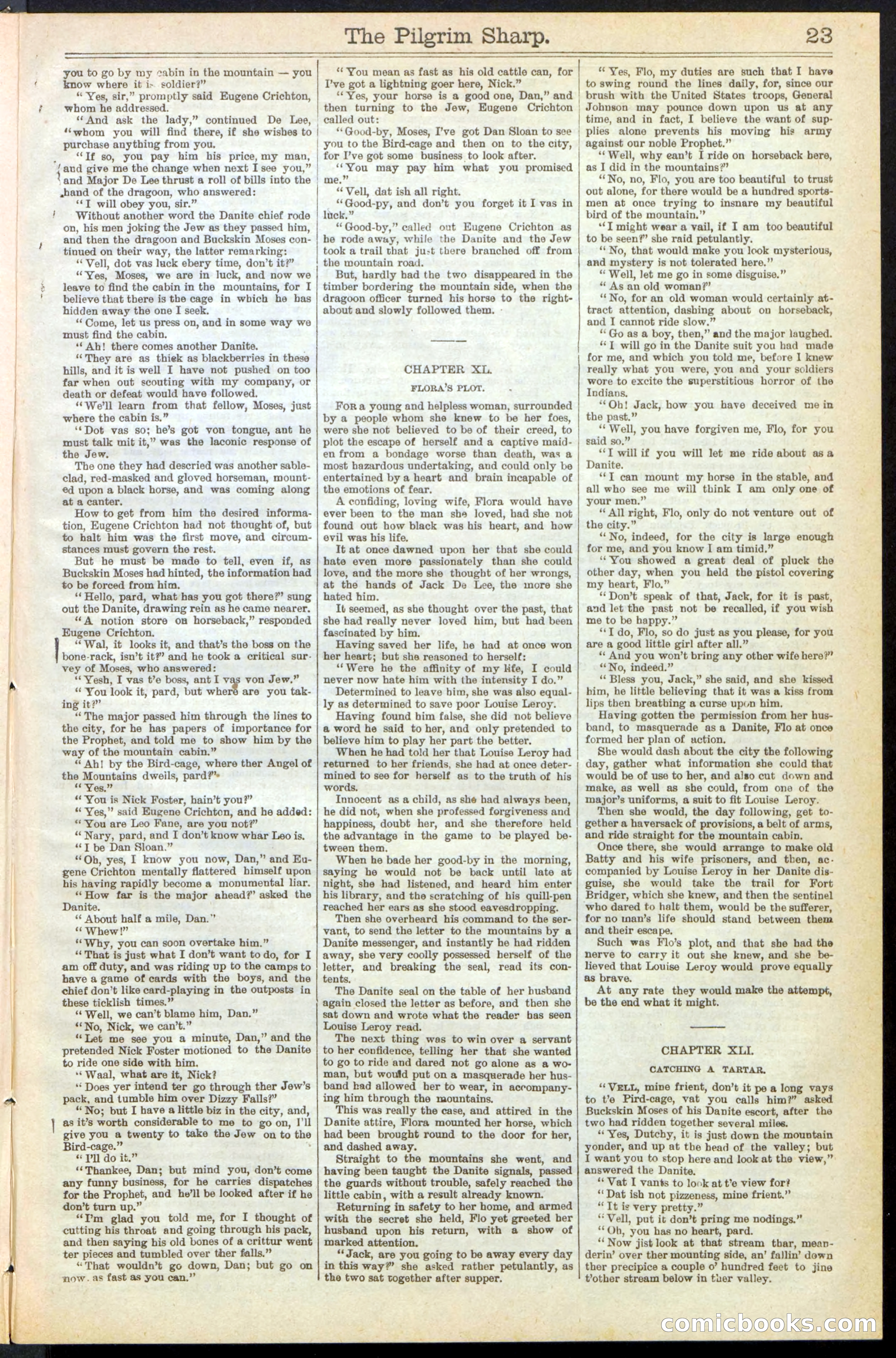 Beadle's New York Dime Library No. 243 — page 23 of 32