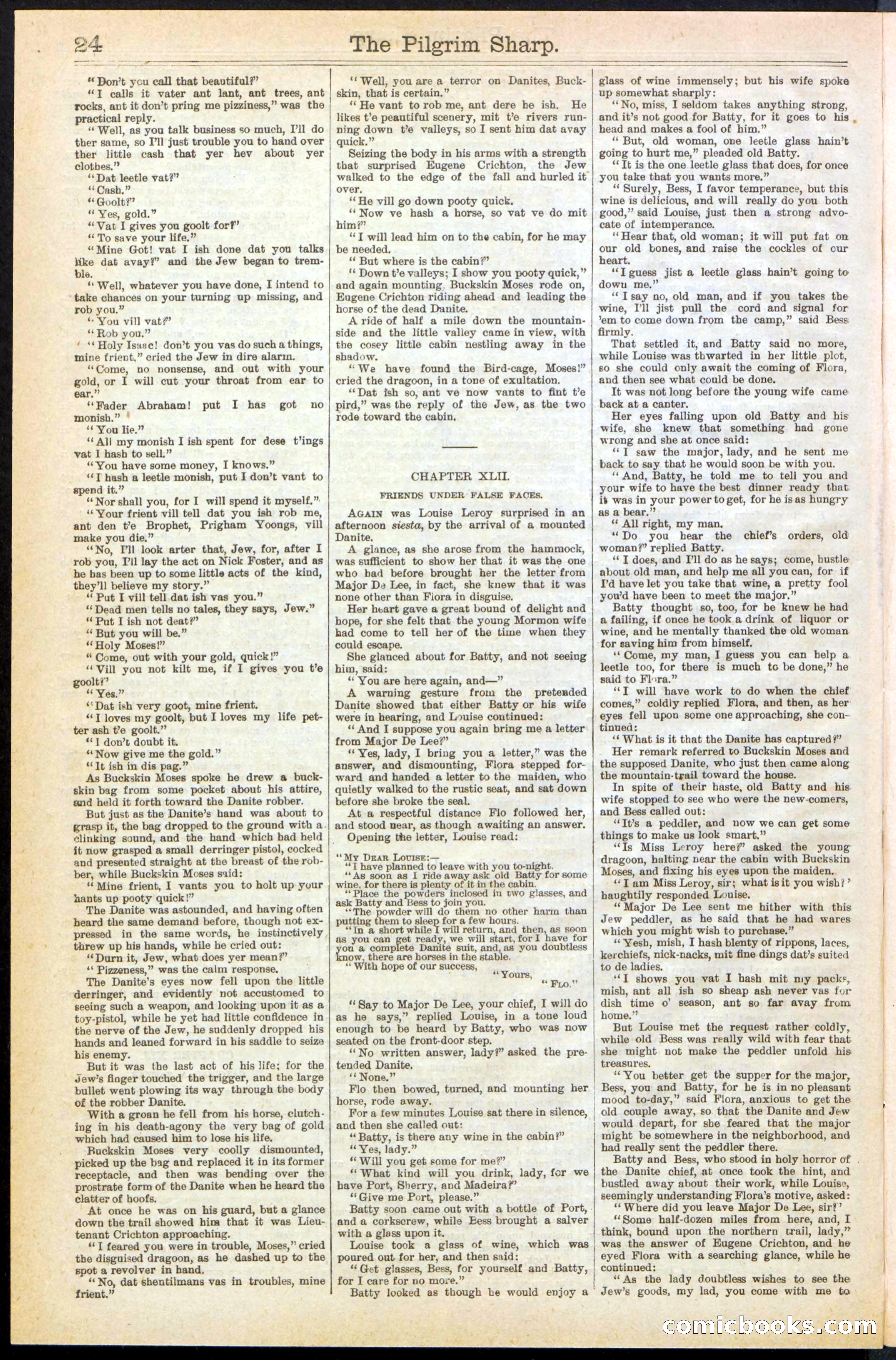 Beadle's New York Dime Library No. 243 — page 24 of 32
