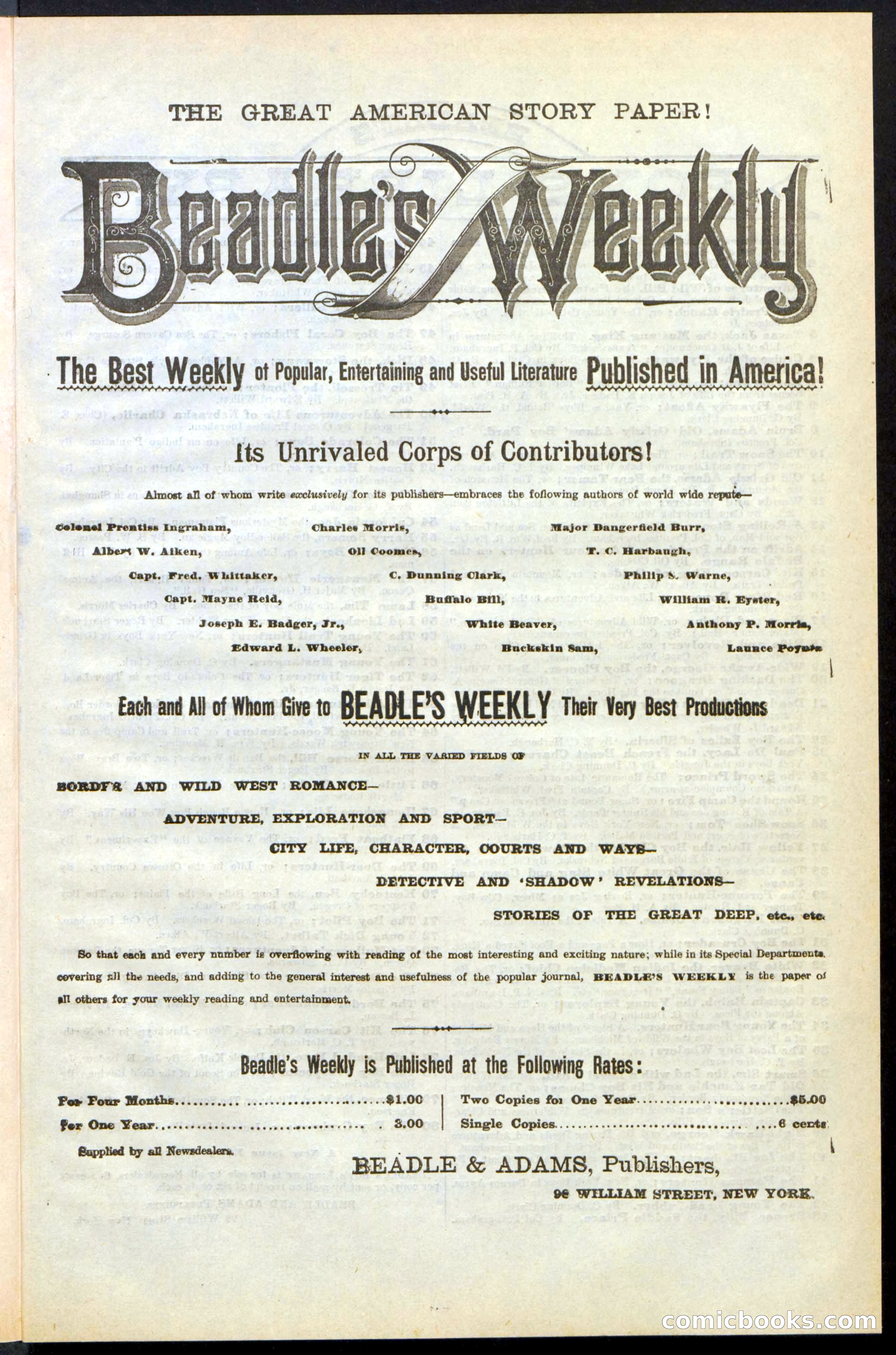 Beadle's New York Dime Library No. 243 — page 27 of 32