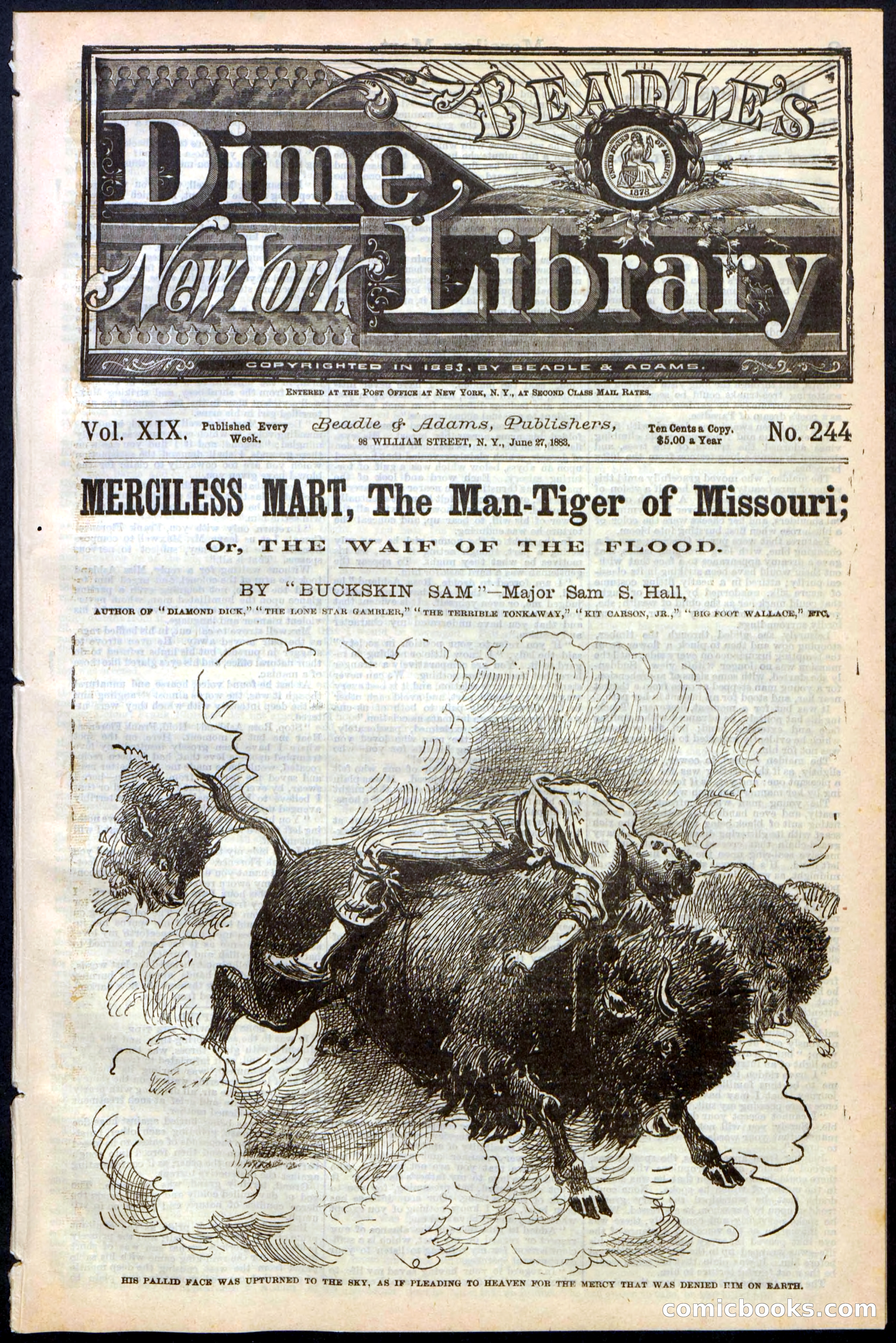 Beadle's New York Dime Library, No. 244 — page 1 of 24