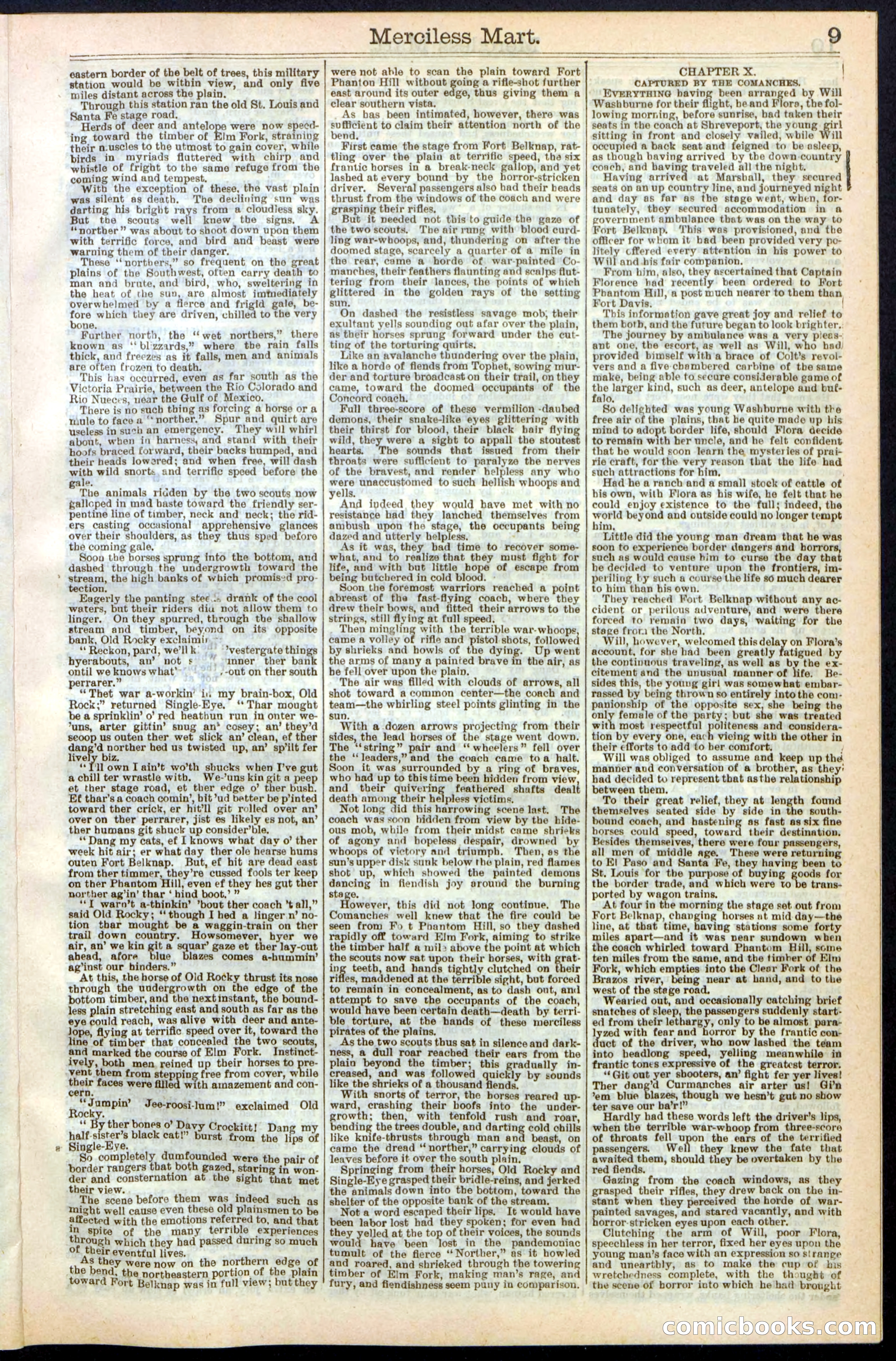 Beadle's New York Dime Library, No. 244 — page 9 of 24
