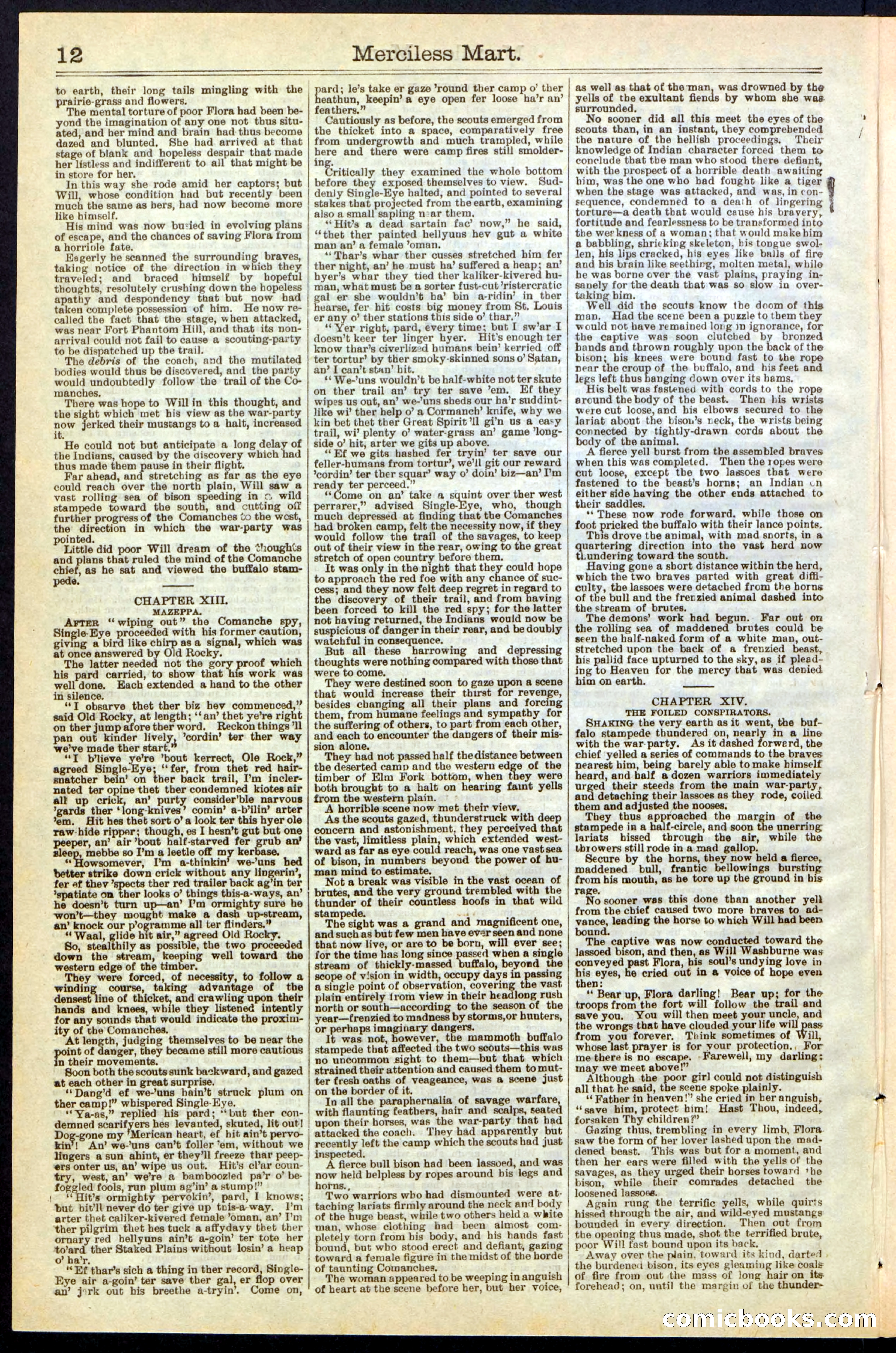 Beadle's New York Dime Library, No. 244 — page 12 of 24